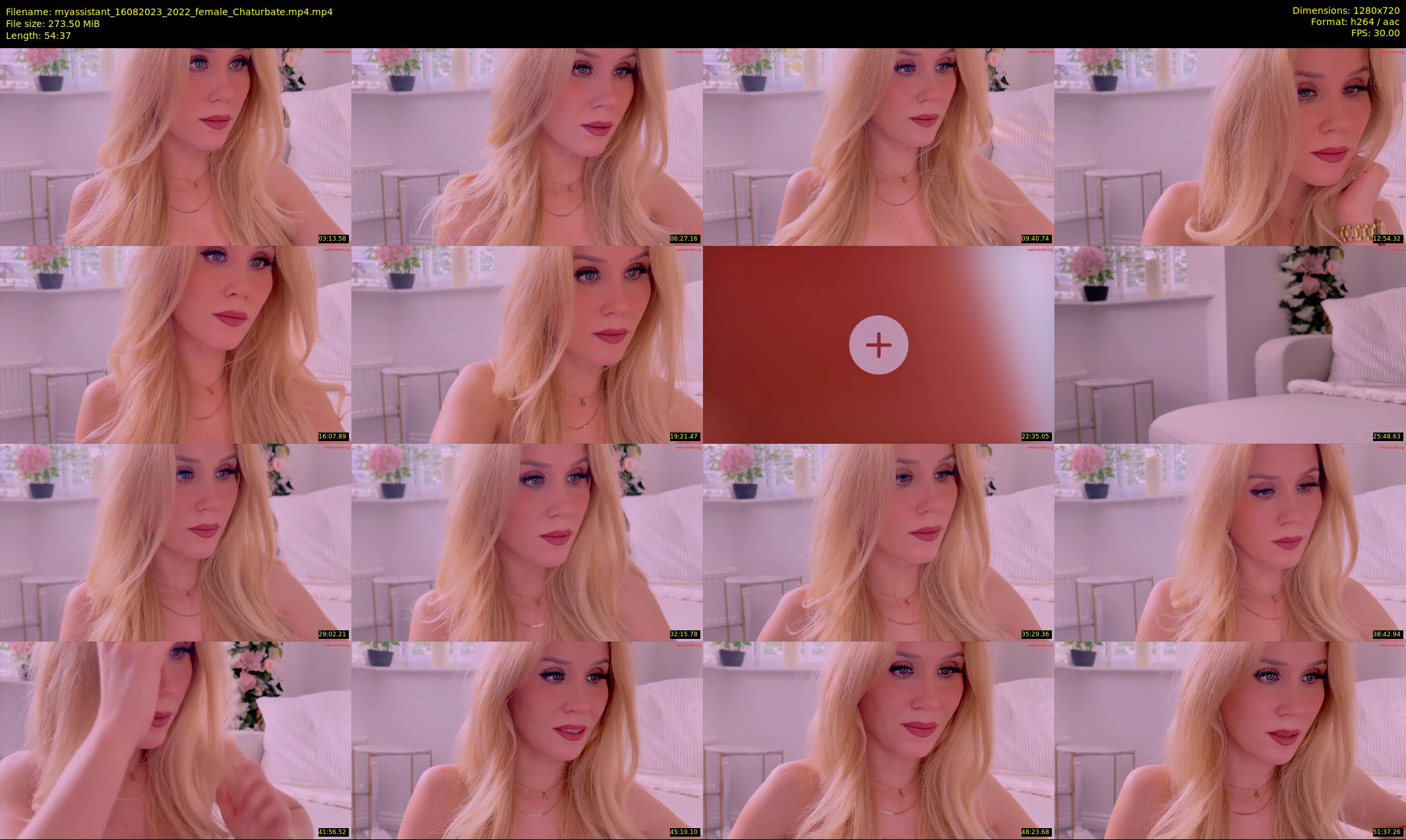 myassistant — 55 minute Chaturbate female cam show recording, 720p, Aug 16, 2023