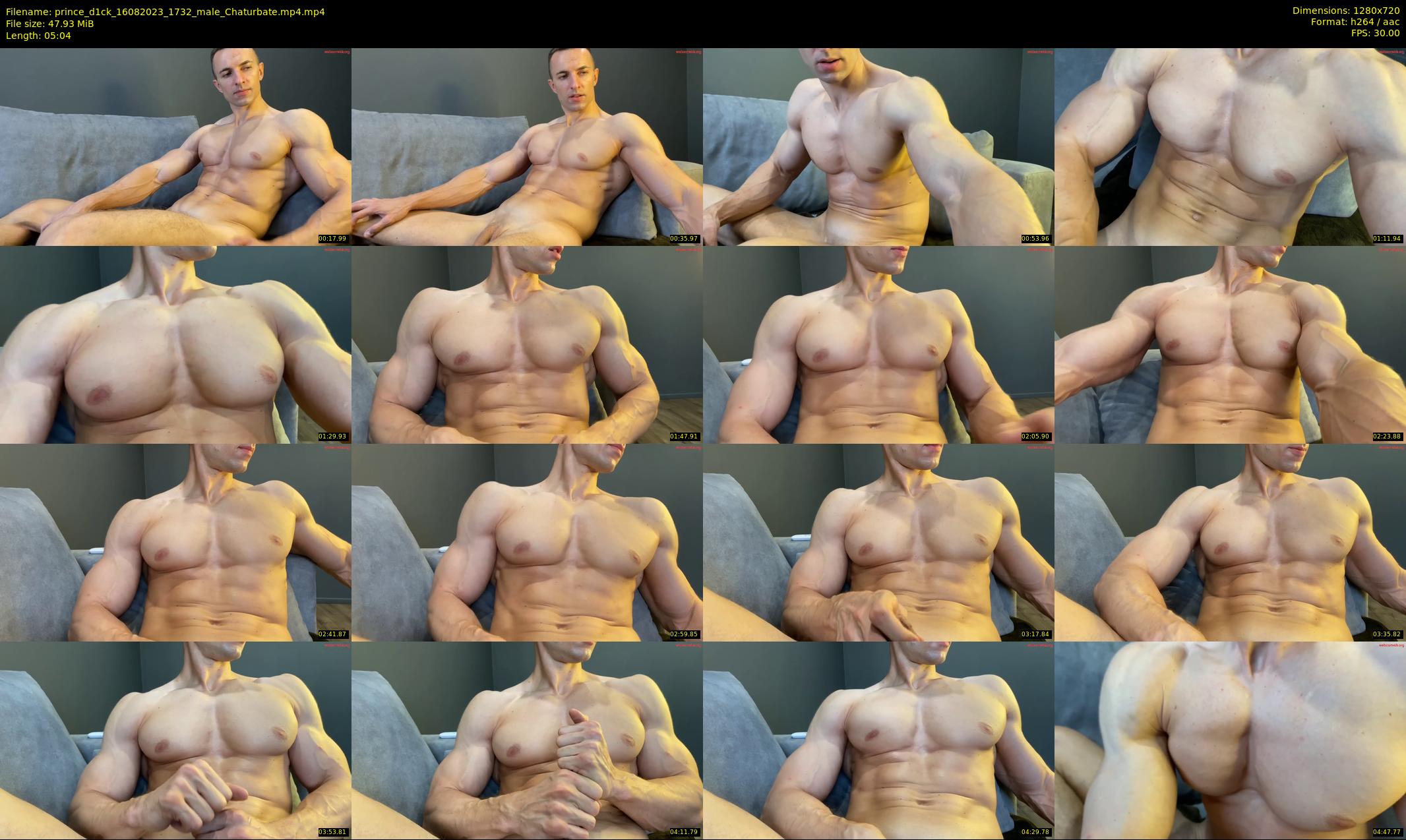 prince_d1ck — 6 minute Chaturbate male cam show recording, 720p, Aug 16, 2023