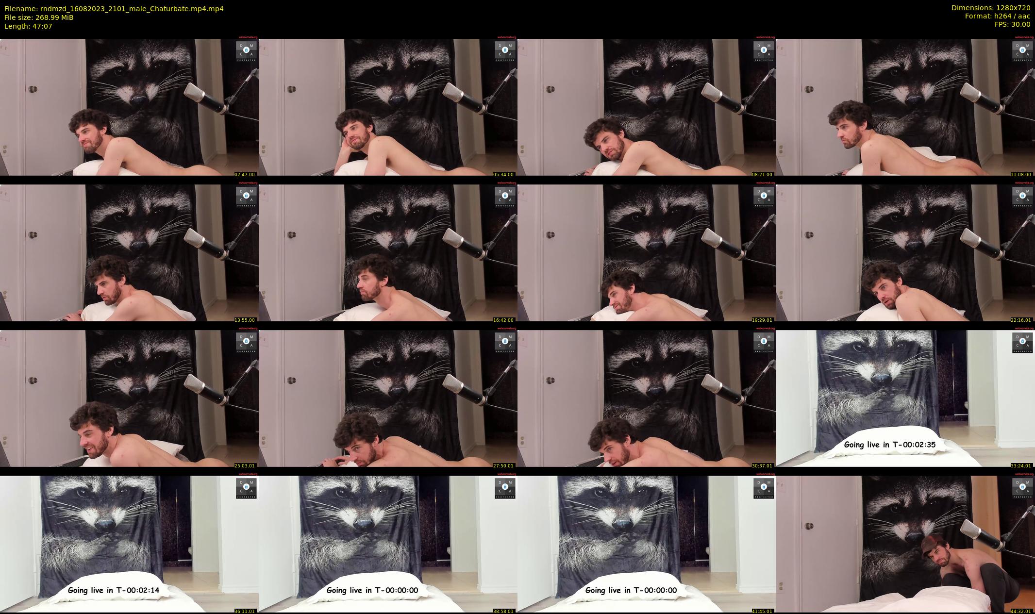rndmzd — 48 minute Chaturbate male cam show recording, 720p, Aug 16, 2023