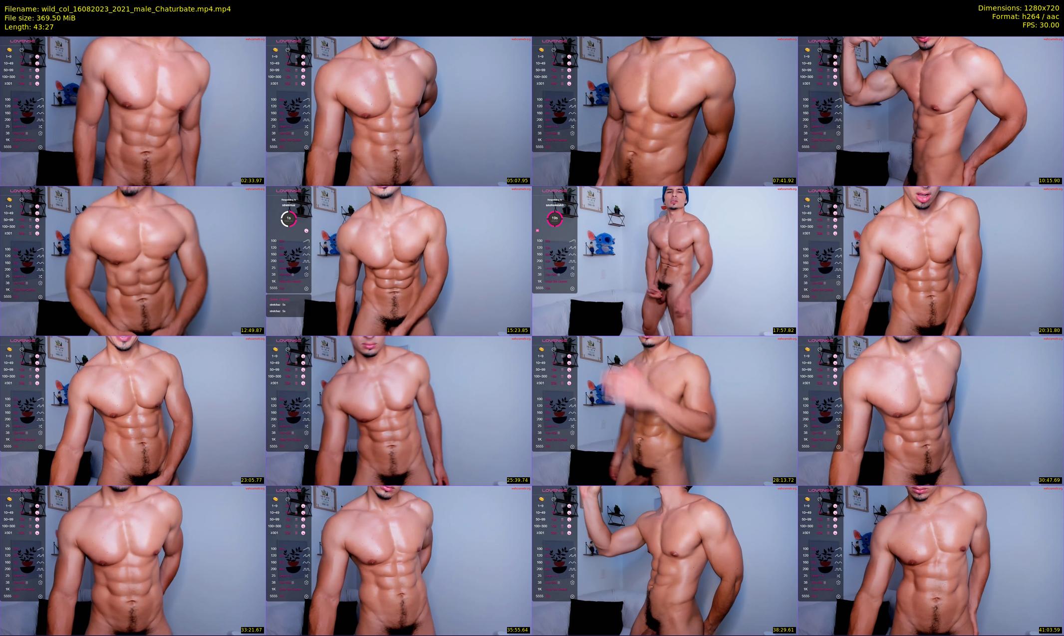 wild_col — 44 minute Chaturbate male cam show recording, 720p, Aug 16, 2023