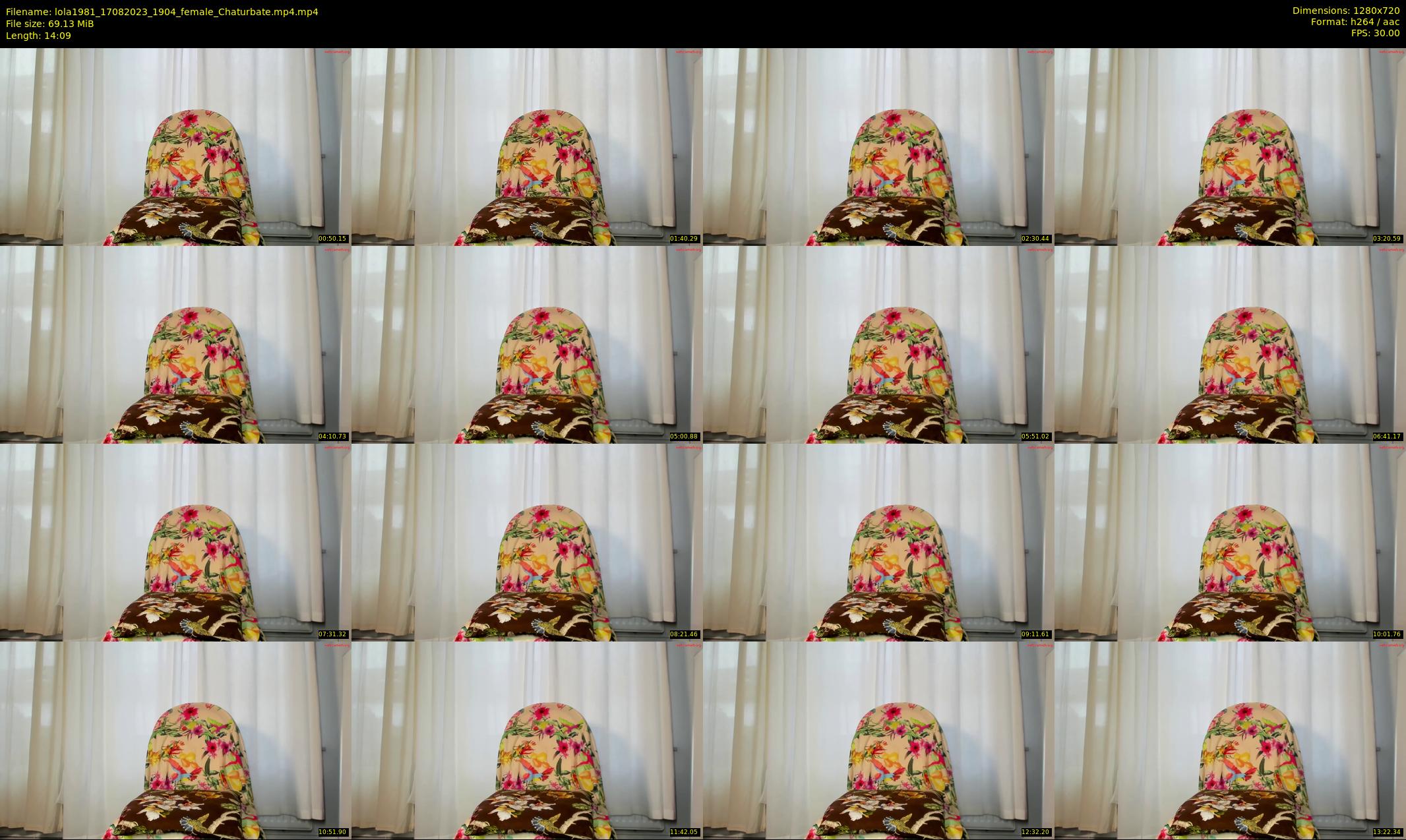 lola1981 — 15 minute Chaturbate female cam show recording, 720p, Aug 17, 2023