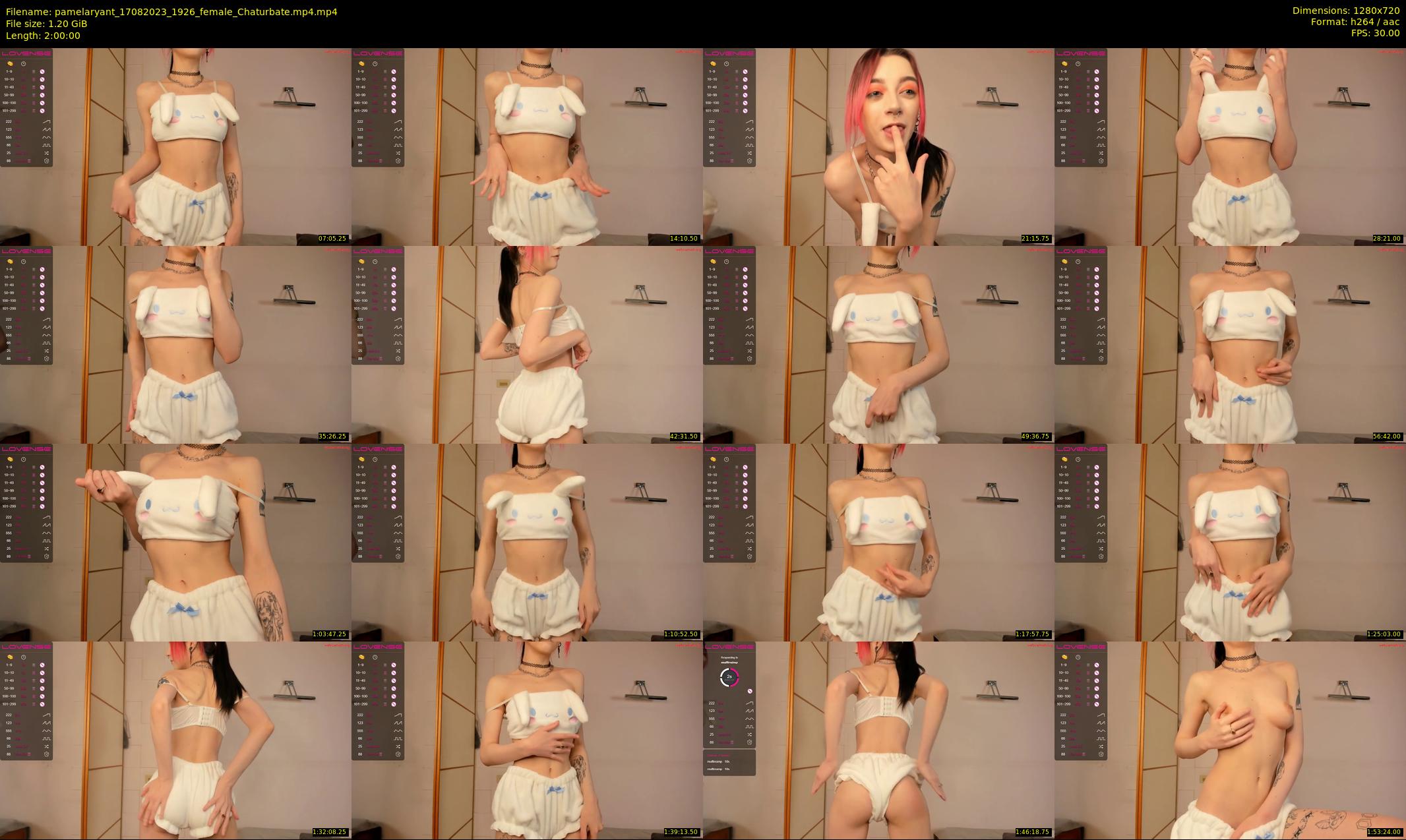 pamelaryant — 120 minute Chaturbate female cam show recording, 720p, Aug 17, 2023