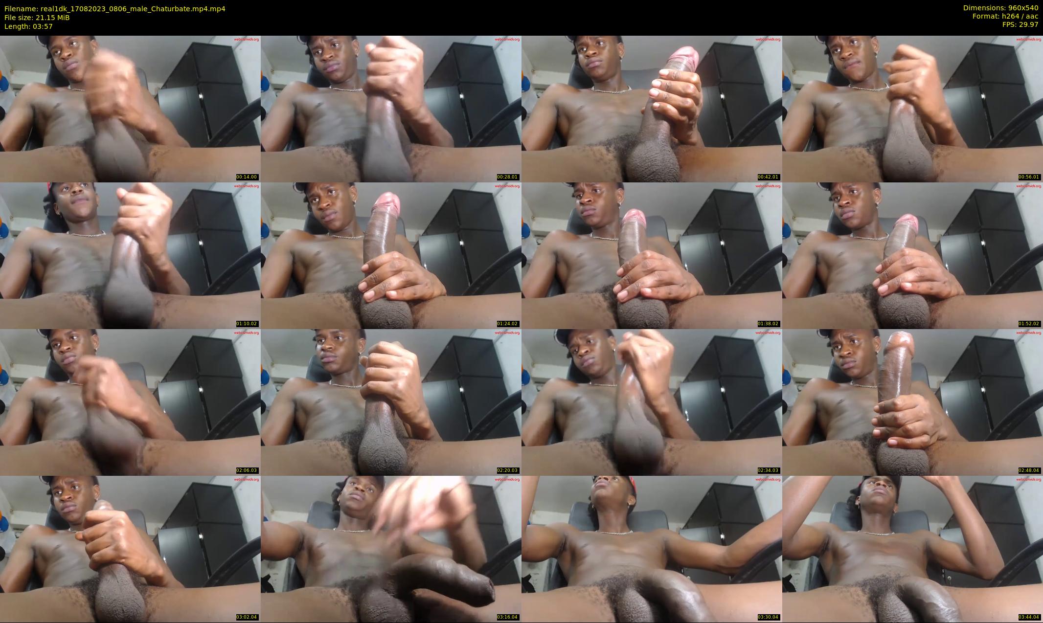 real1dk — 4 minute Chaturbate male cam show recording, 480p, Aug 17, 2023