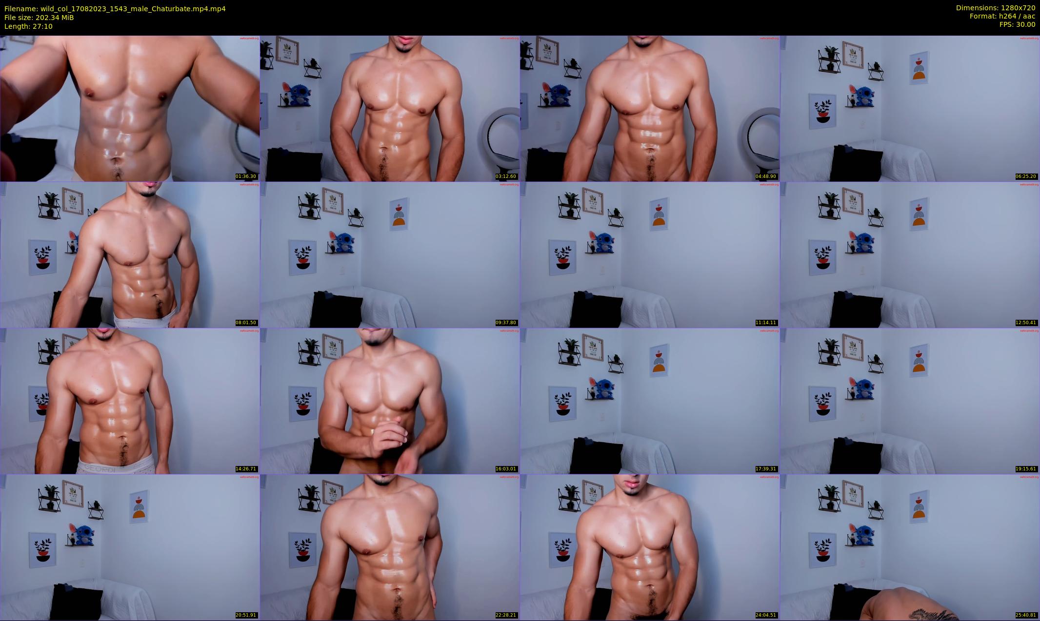 wild_col — 28 minute Chaturbate male cam show recording, 720p, Aug 17, 2023