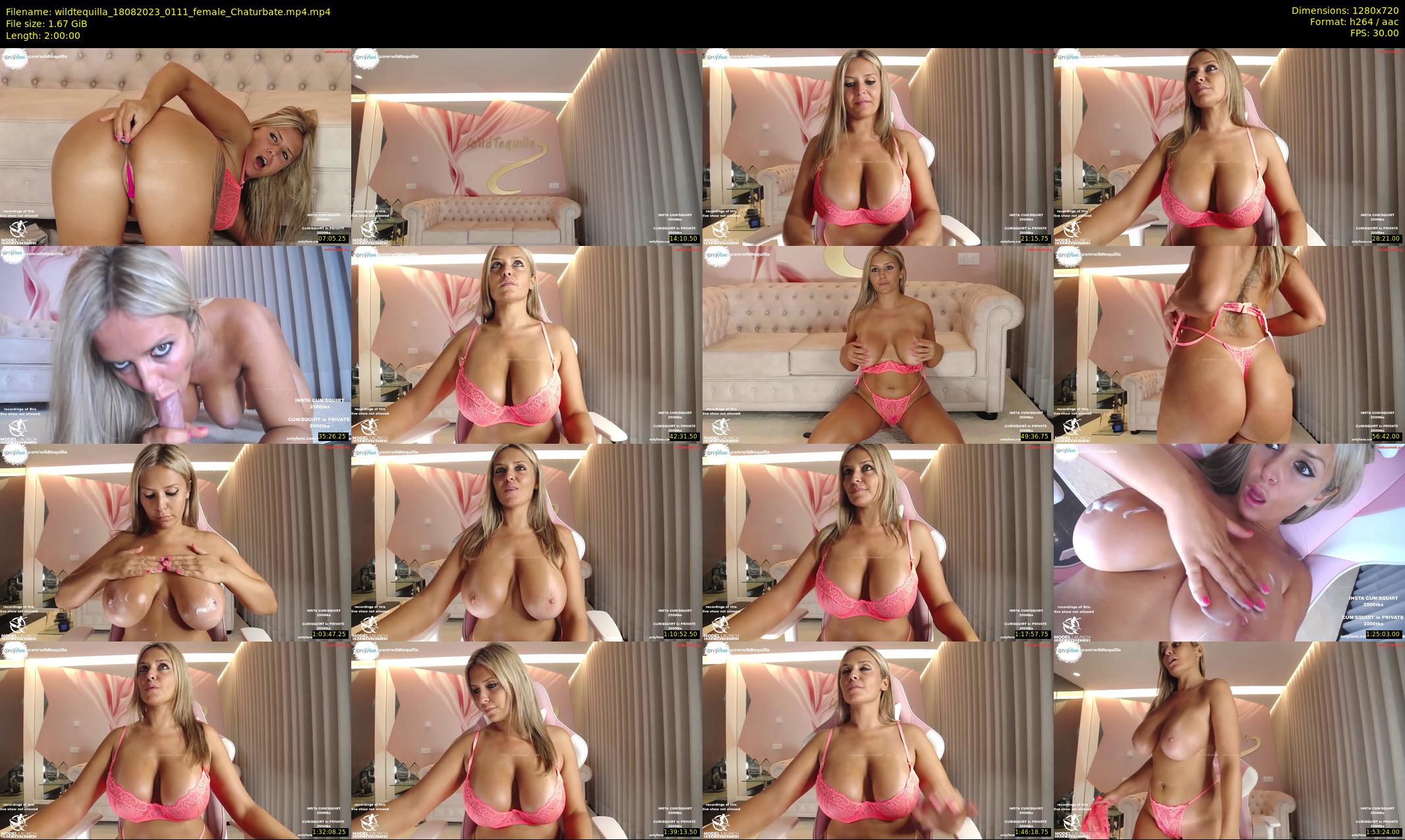 wildtequilla — 120 minute Chaturbate couple cam show recording, 720p, Aug 18, 2023