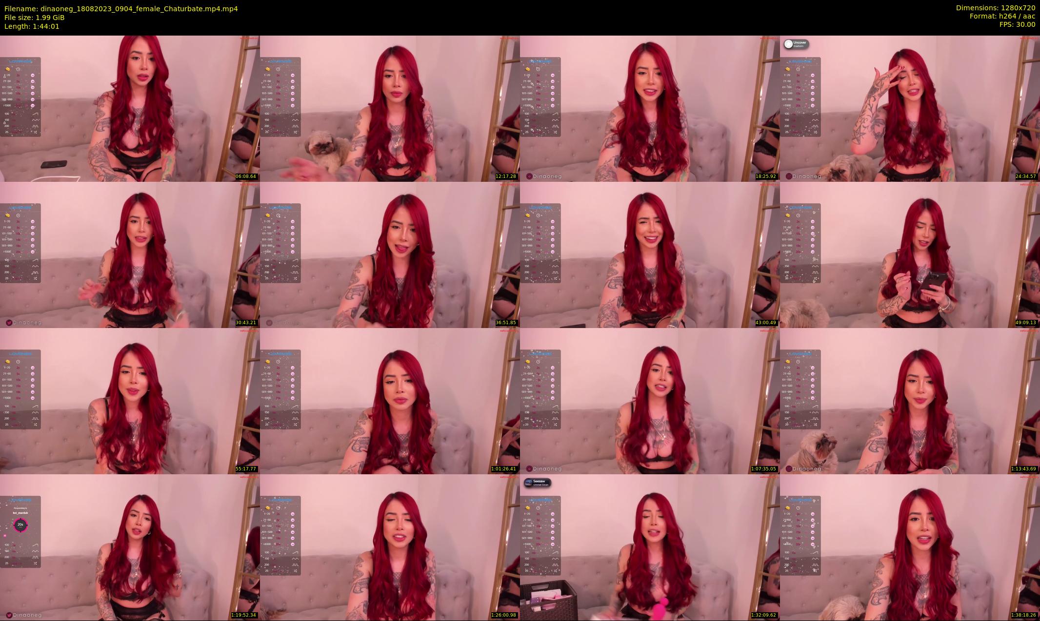 dinaoneg — 105 minute Chaturbate female cam show recording, 720p, Aug 18, 2023