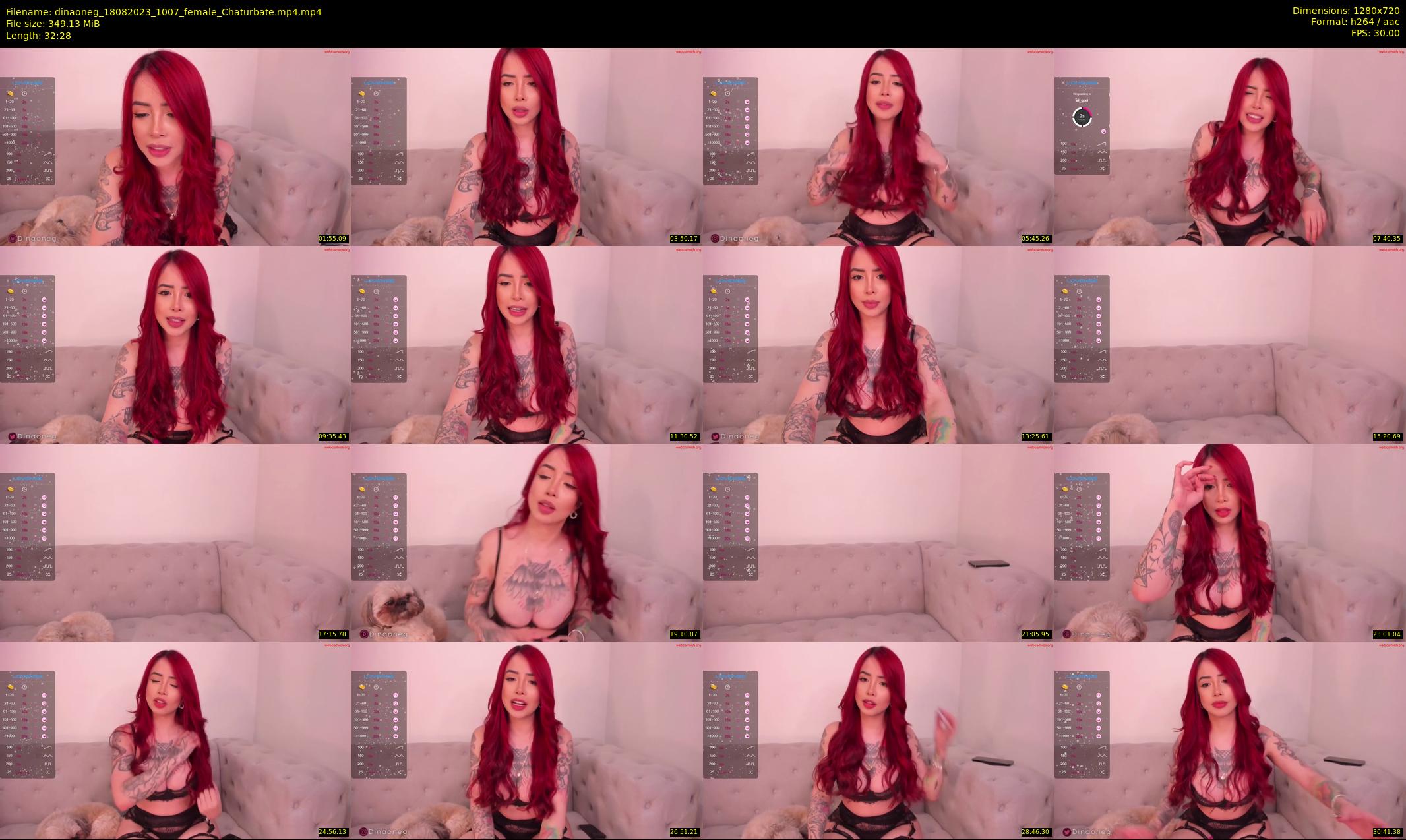 dinaoneg — 33 minute Chaturbate female cam show recording, 720p, Aug 18, 2023