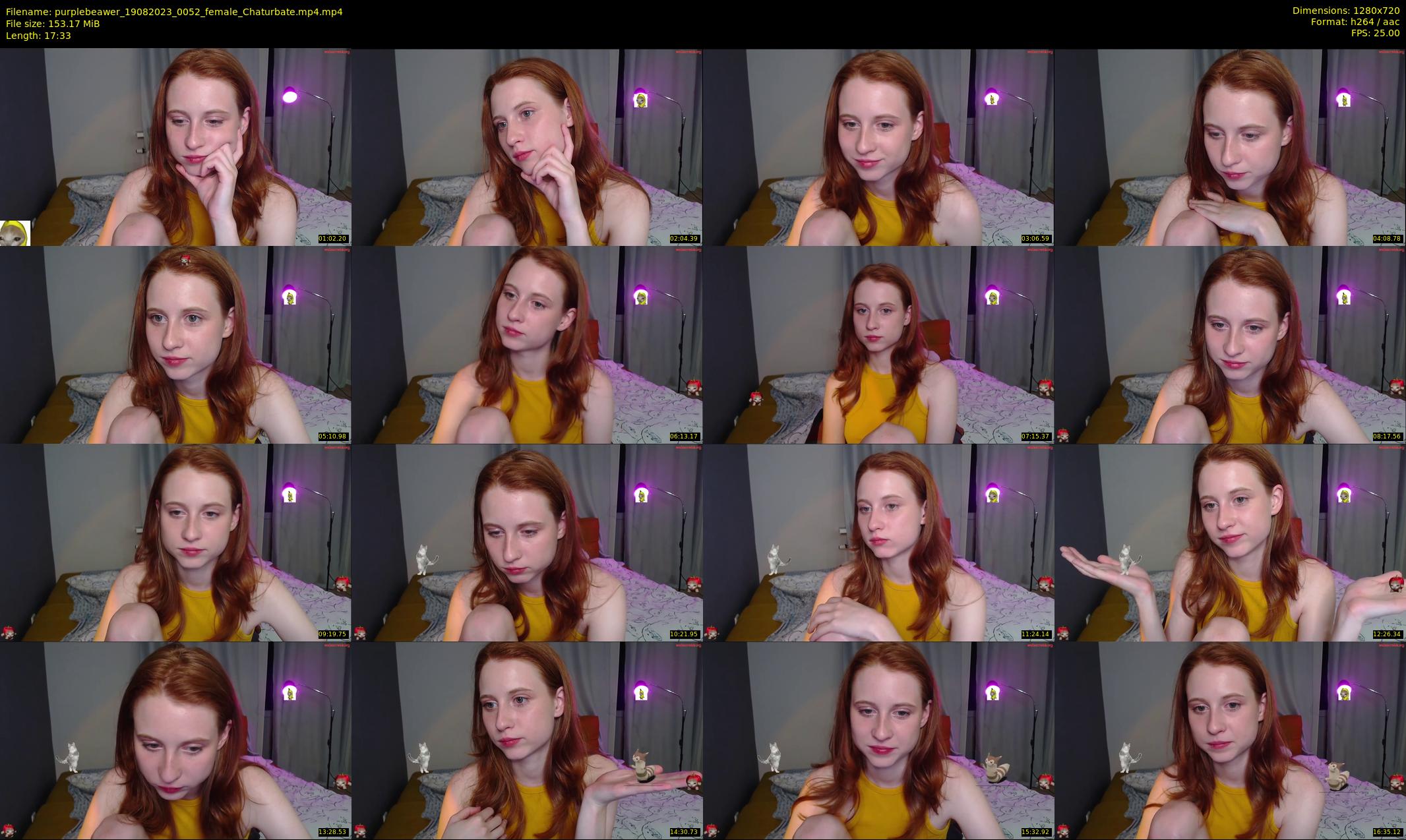 purplebeawer — 18 minute Chaturbate female cam show recording, 720p, Aug 19, 2023