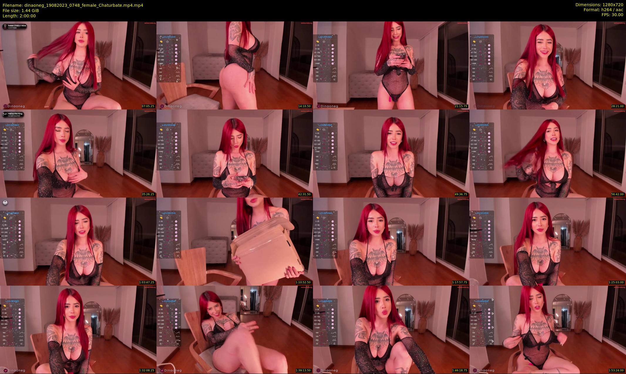 dinaoneg — 120 minute Chaturbate female cam show recording, 720p, Aug 19, 2023