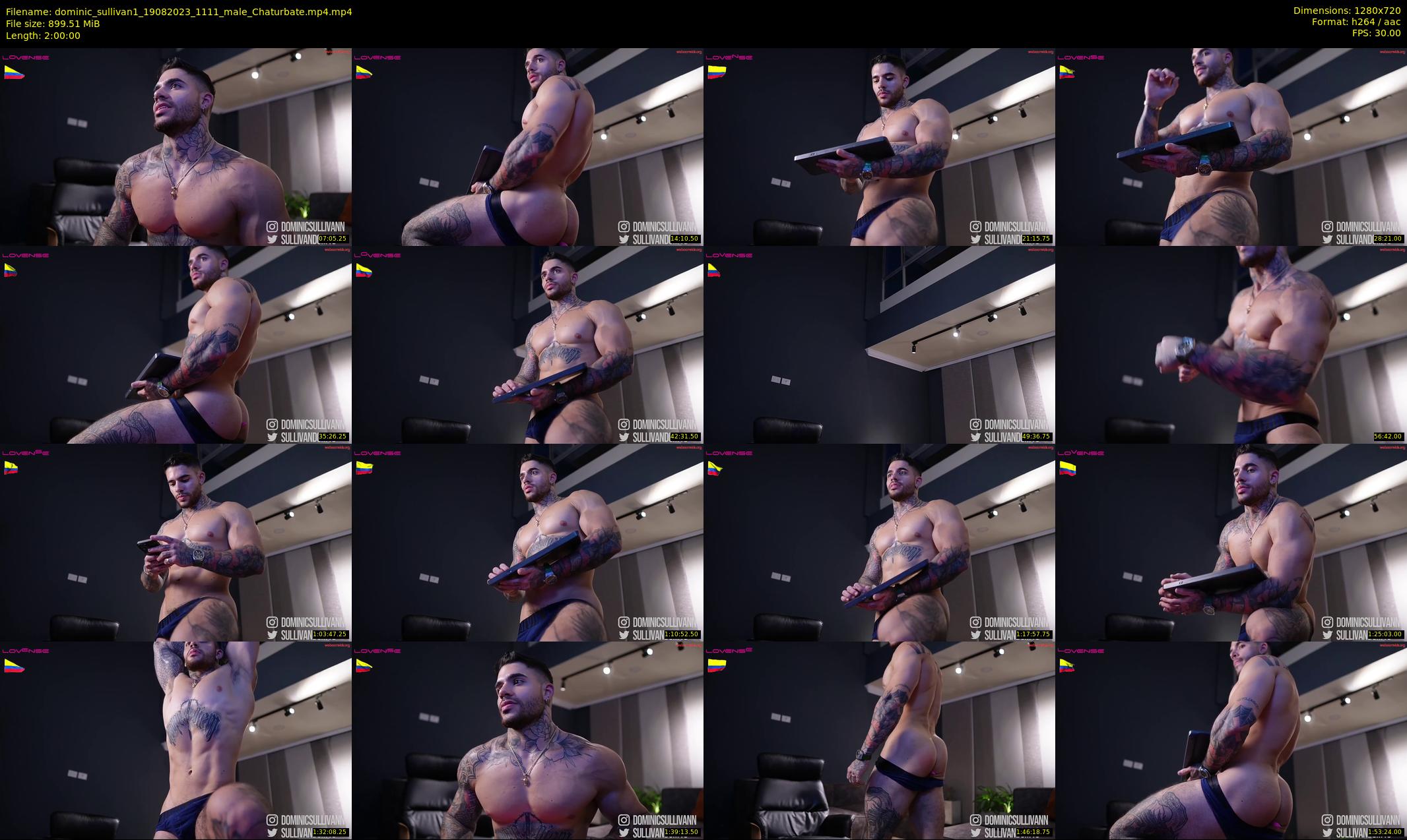 dominic_sullivan1 — 120 minute Chaturbate male cam show recording, 720p, Aug 19, 2023