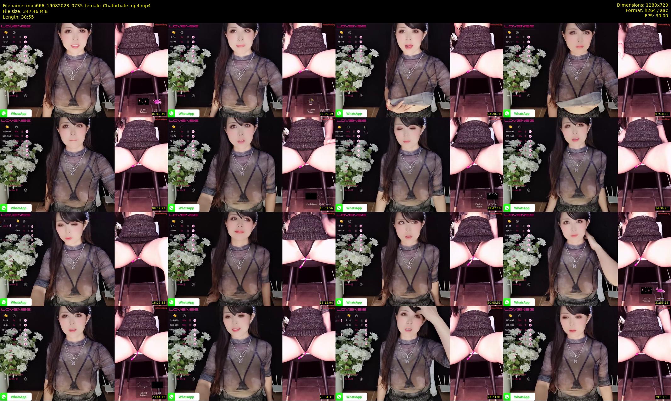moli666 — 31 minute Chaturbate female cam show recording, 720p, Aug 19, 2023
