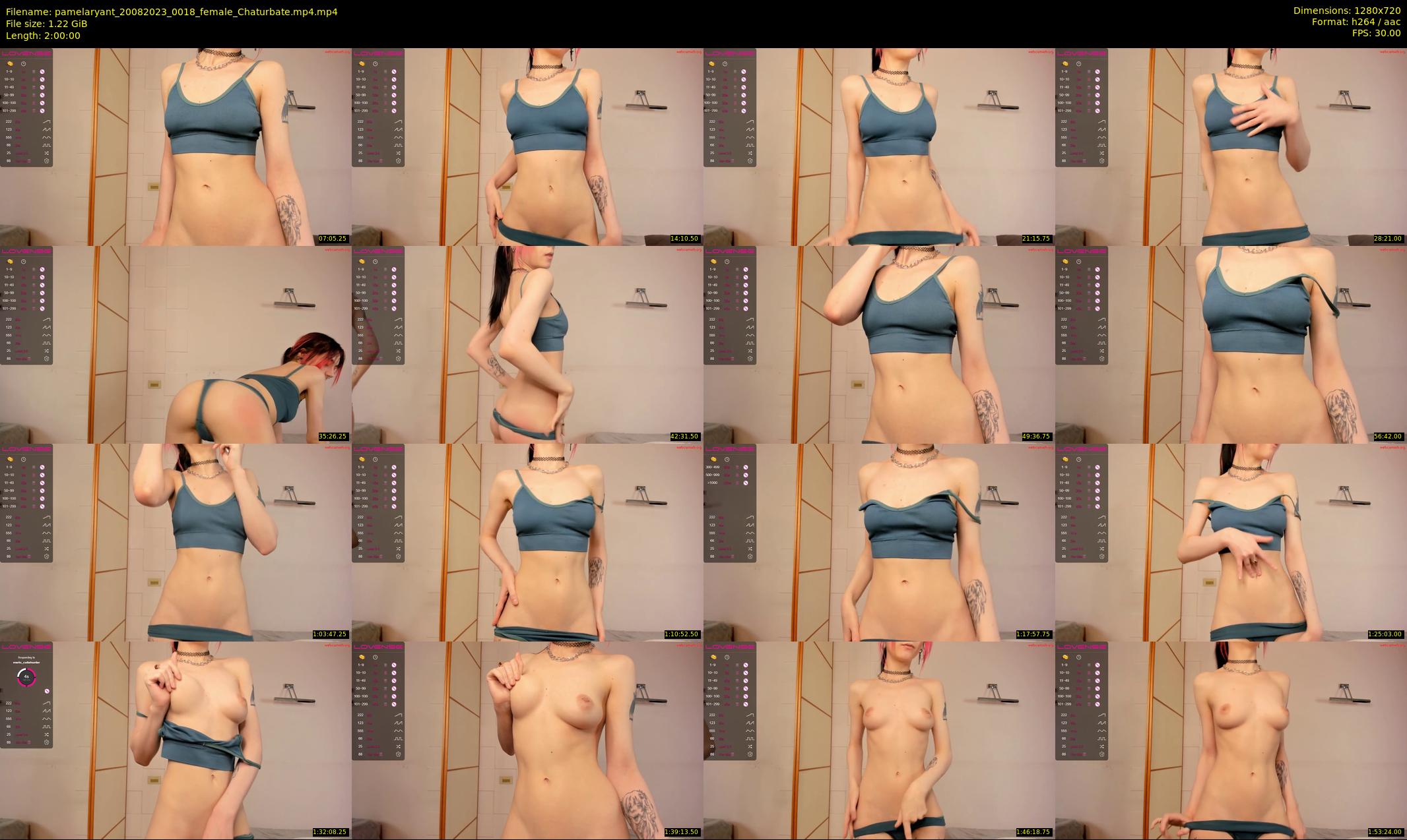 pamelaryant — 120 minute Chaturbate female cam show recording, 720p, Aug 20, 2023