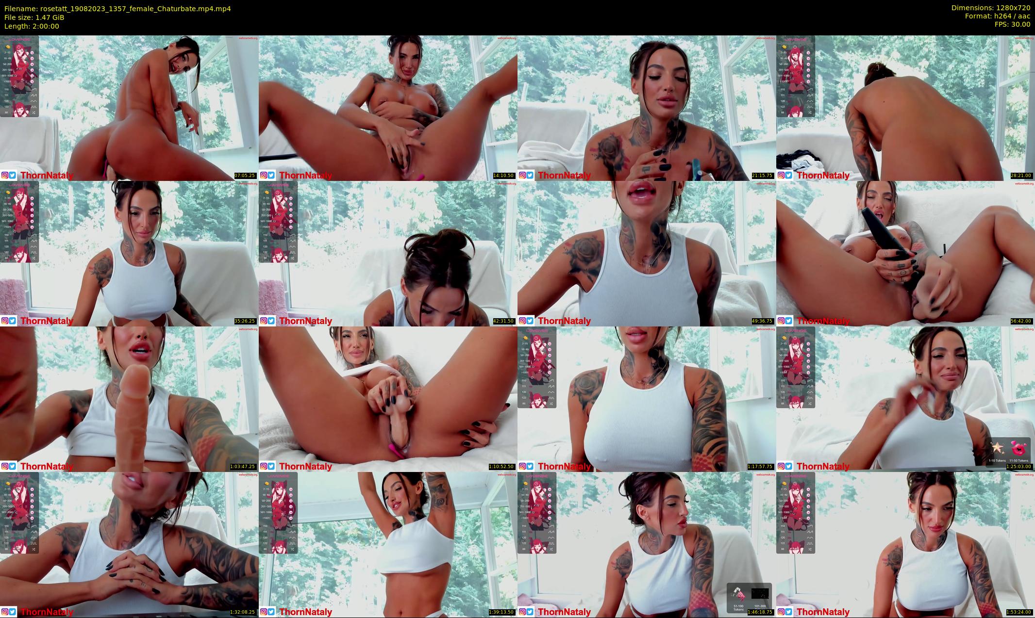 rosetatt — 120 minute Chaturbate female cam show recording, 720p, Aug 19, 2023