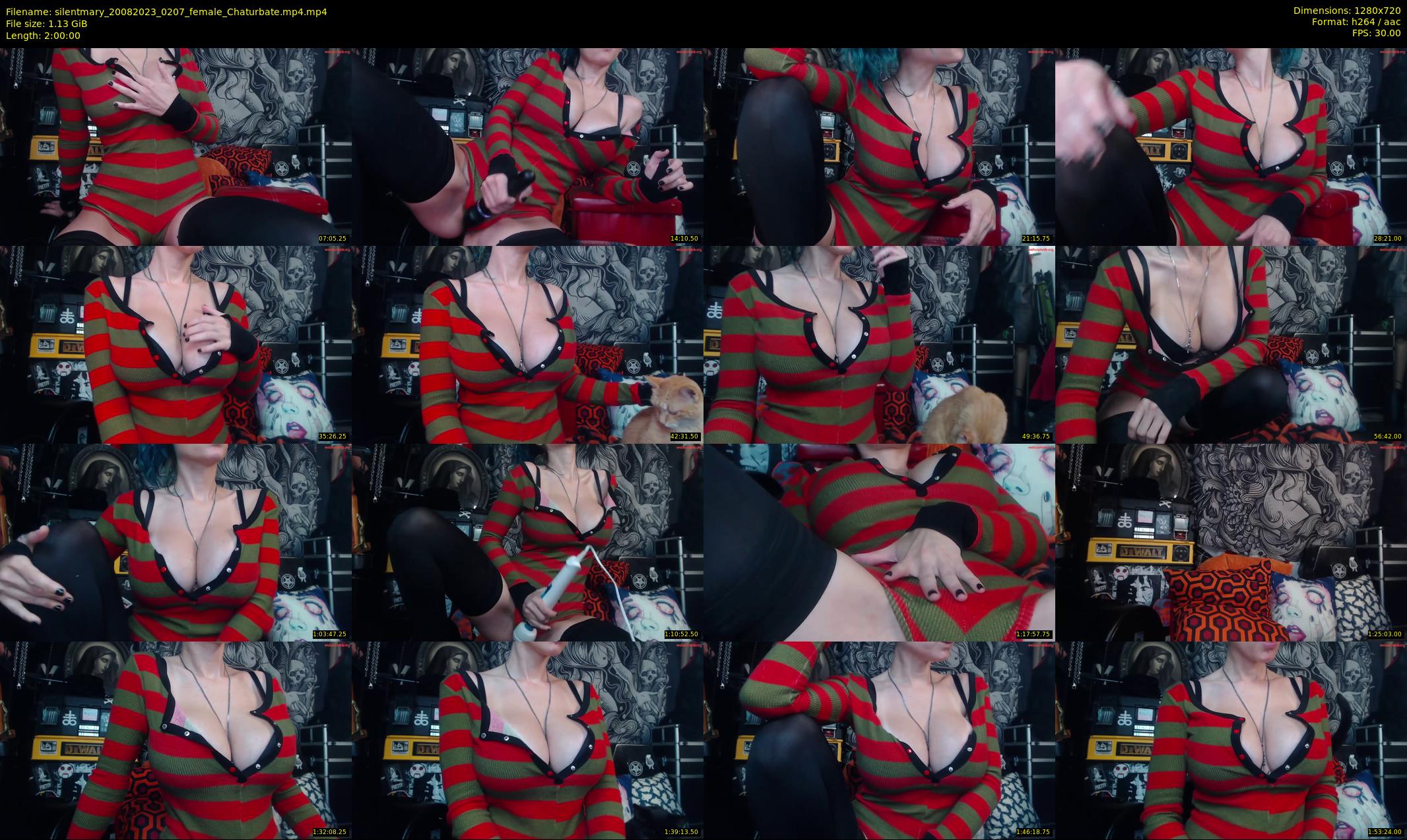 silentmary — 120 minute Chaturbate female cam show recording, 720p, Aug 20, 2023