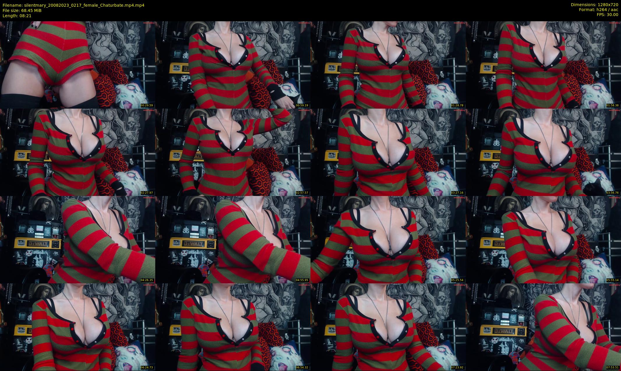silentmary — 9 minute Chaturbate female cam show recording, 720p, Aug 20, 2023