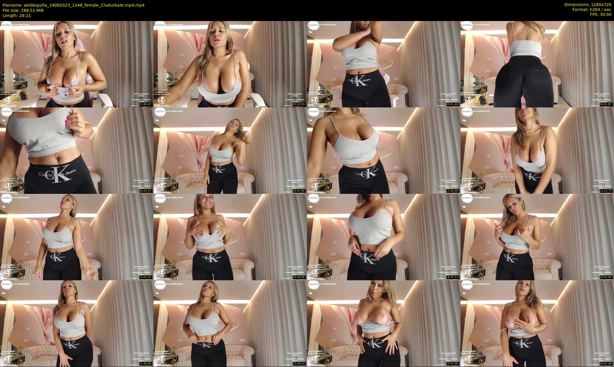 wildtequilla — 29 minute Chaturbate couple cam show recording, 720p, Aug 19, 2023