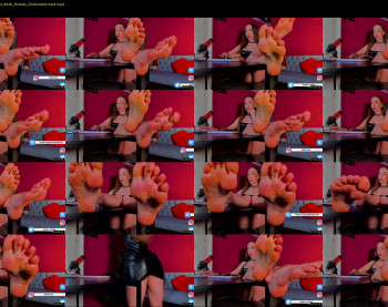 presidenttaylor — 43 minute Chaturbate female cam show recording, 720p, Aug 21, 2023