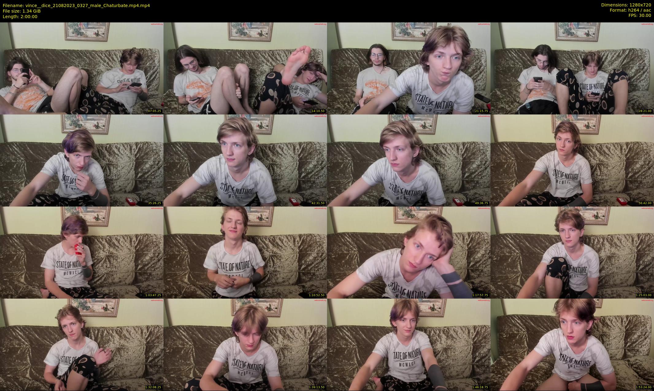 vince__dice — 120 minute Chaturbate male cam show recording, 720p, Aug 21, 2023