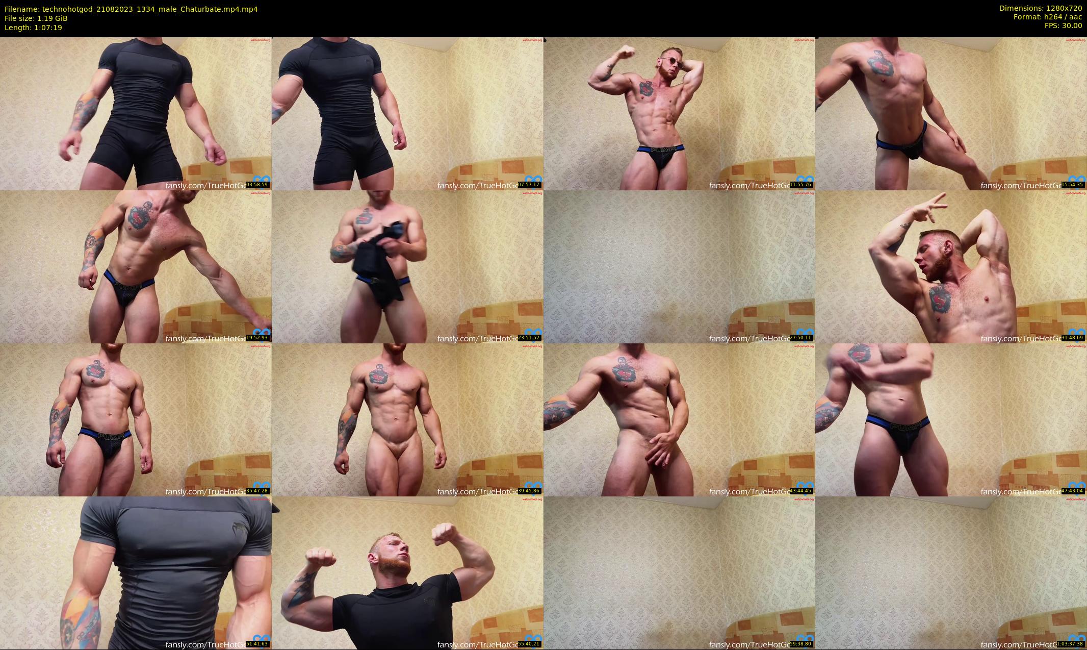 technohotgod — 68 minute Chaturbate male cam show recording, 720p, Aug 21, 2023