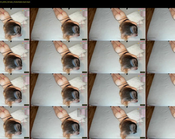 theanytimeshow — 5 minute Chaturbate female cam show recording, 720p, Aug 22, 2023