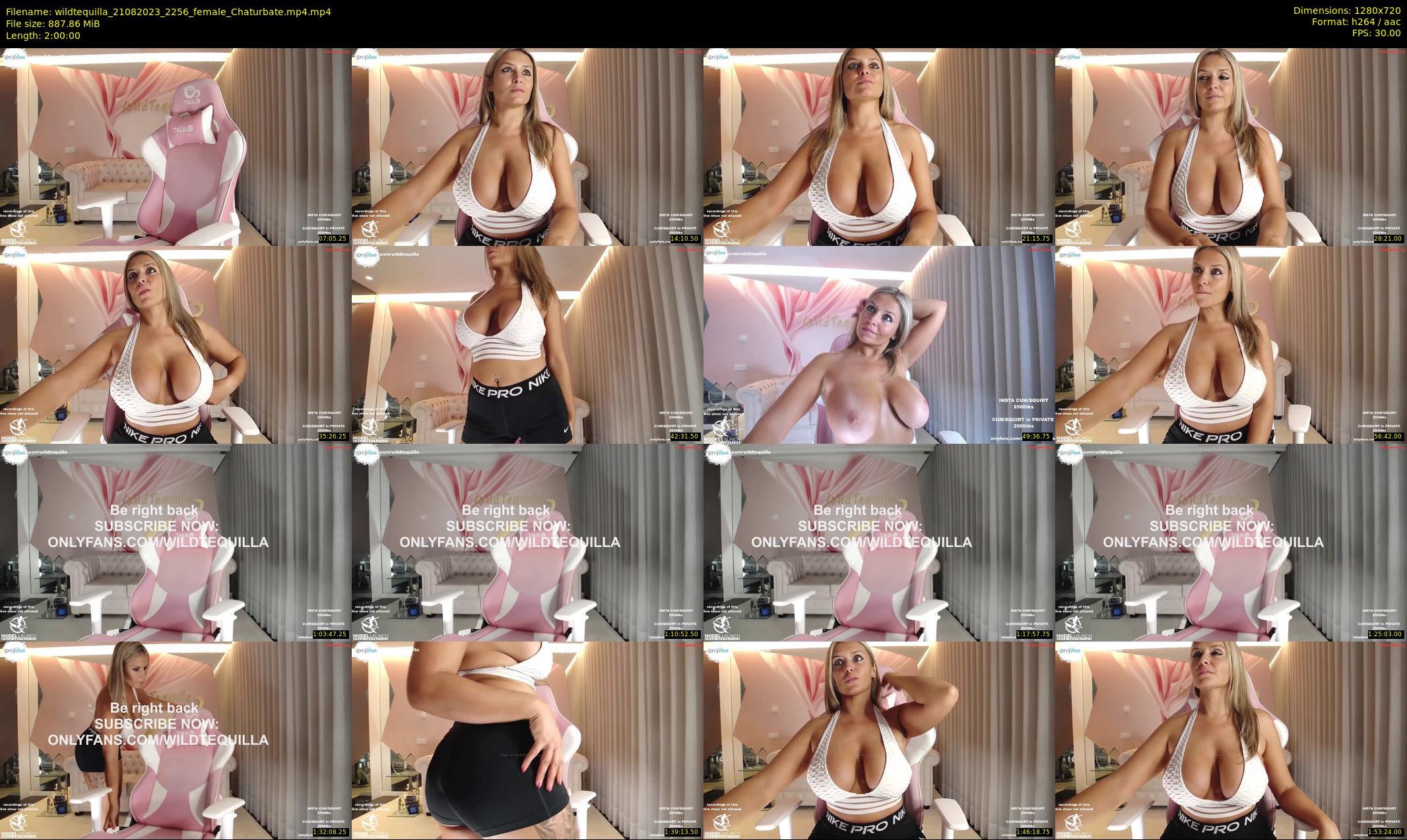 wildtequilla — 120 minute Chaturbate couple cam show recording, 720p, Aug 21, 2023
