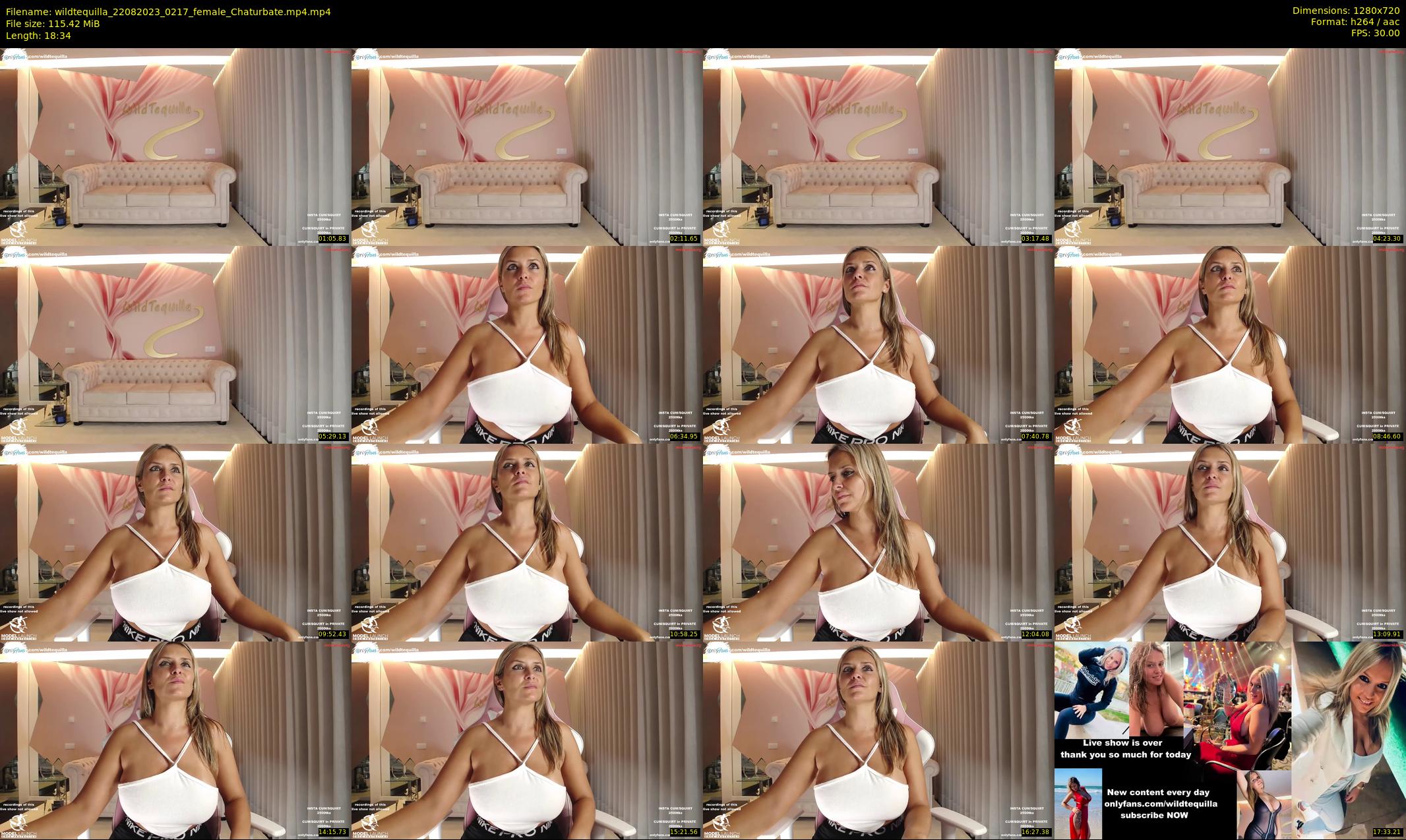 wildtequilla — 19 minute Chaturbate couple cam show recording, 720p, Aug 22, 2023