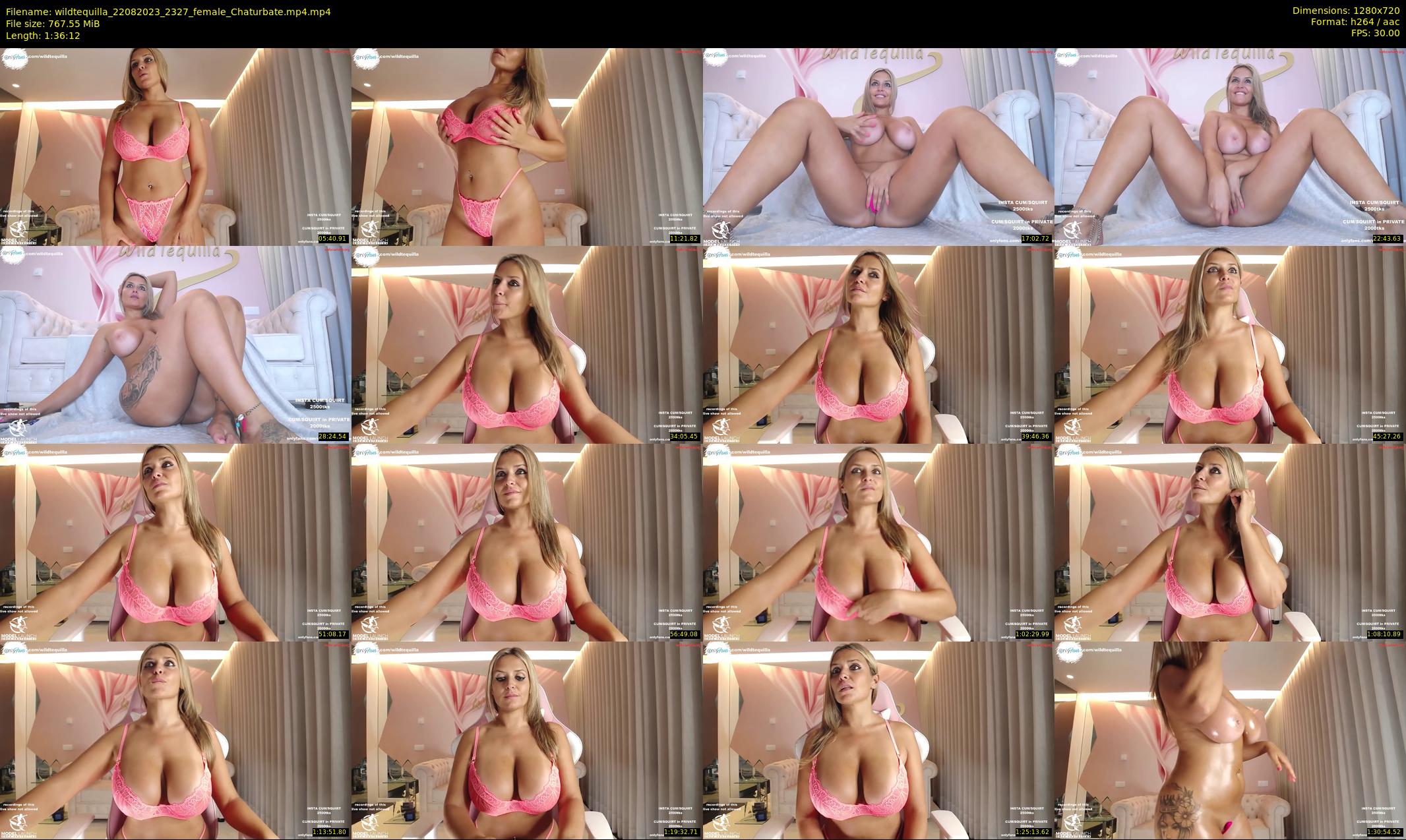 wildtequilla — 97 minute Chaturbate couple cam show recording, 720p, Aug 22, 2023
