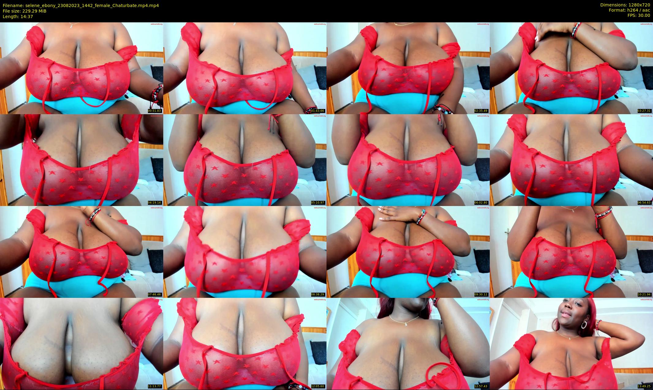 selene_ebony — 15 minute Chaturbate female cam show recording, 720p, Aug 23, 2023