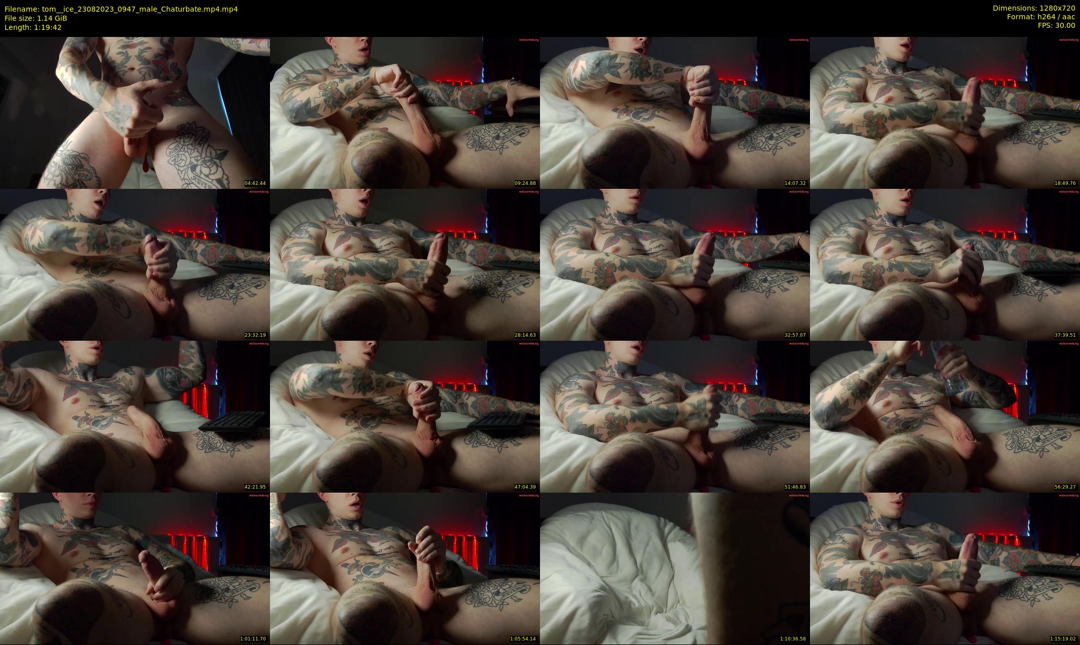 tom__ice — 80 minute Chaturbate male cam show recording, 720p, Aug 23, 2023