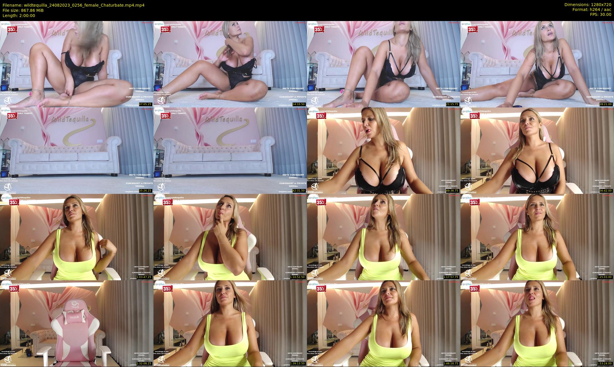 wildtequilla — 120 minute Chaturbate couple cam show recording, 720p, Aug 24, 2023