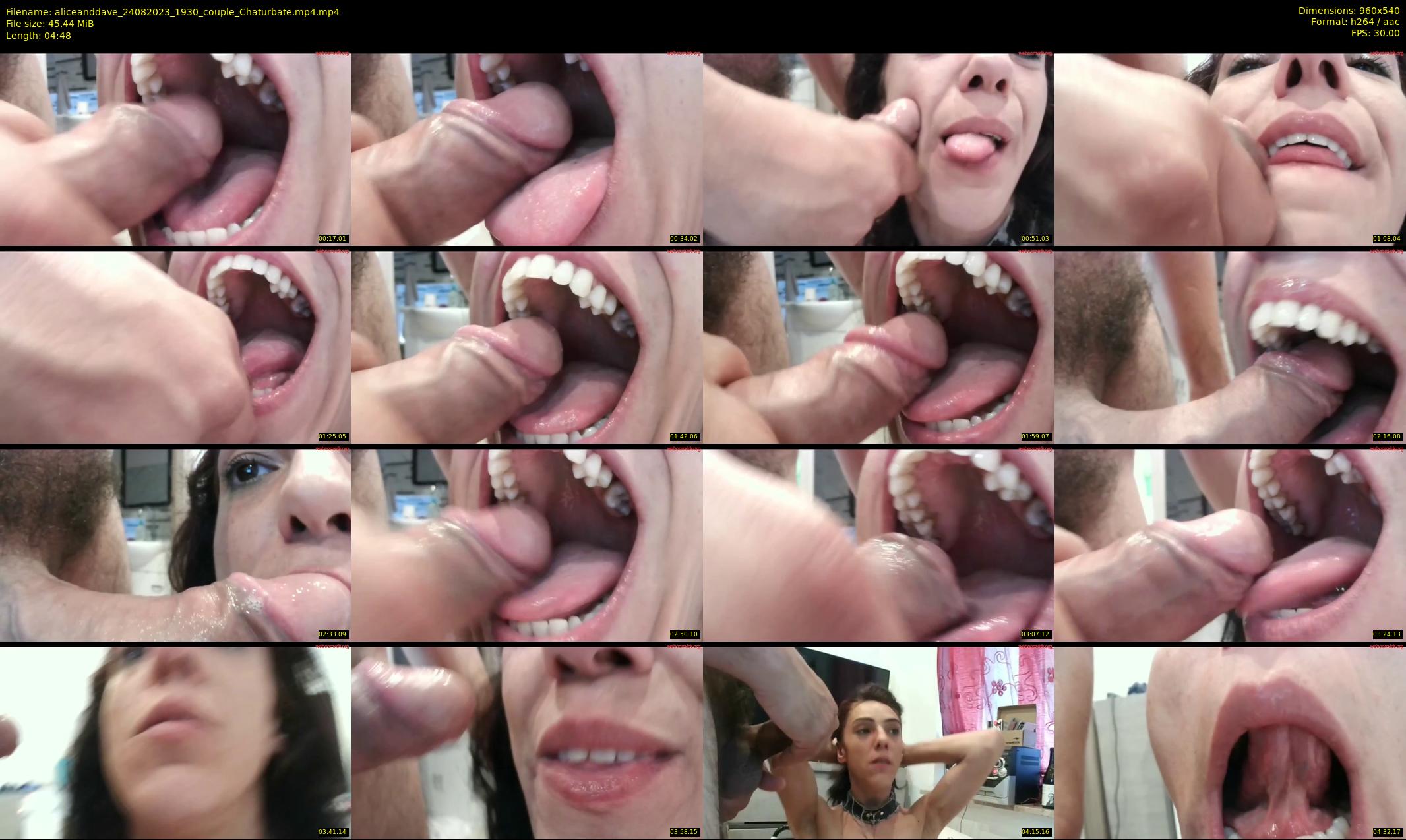 aliceanddave — 5 minute Chaturbate couple cam show recording, 480p, Aug 24, 2023