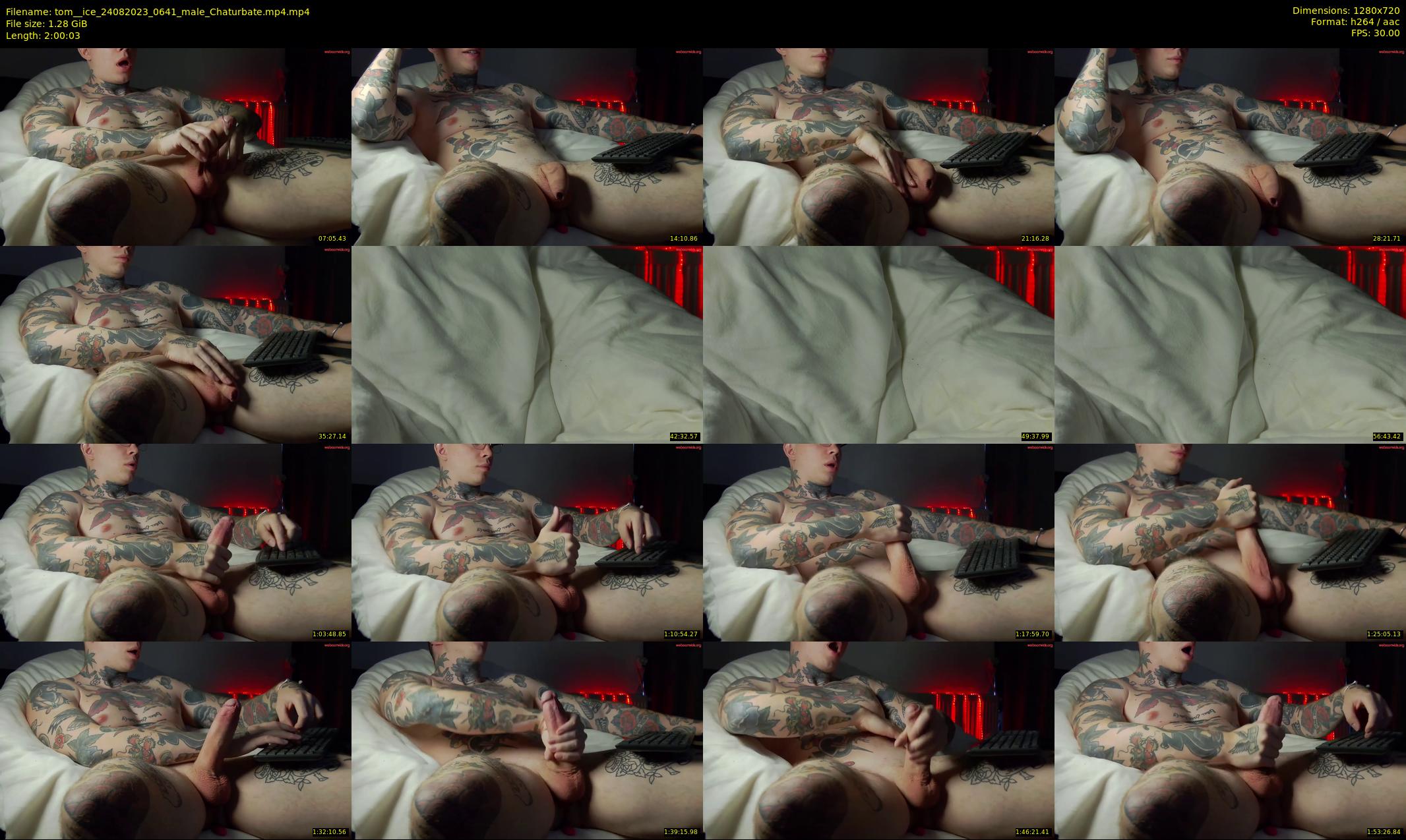 tom__ice — 121 minute Chaturbate male cam show recording, 720p, Aug 24, 2023