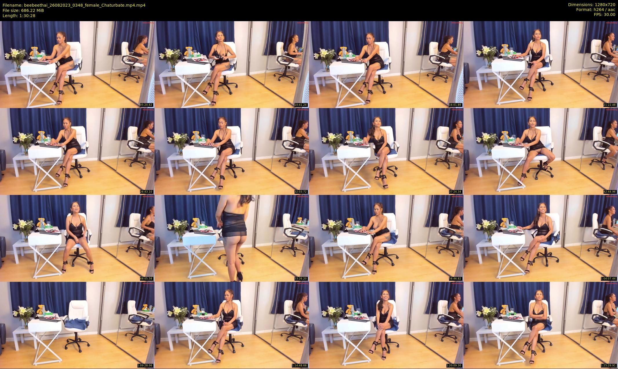 beebeethai — 91 minute Chaturbate female cam show recording, 720p, Aug 26, 2023