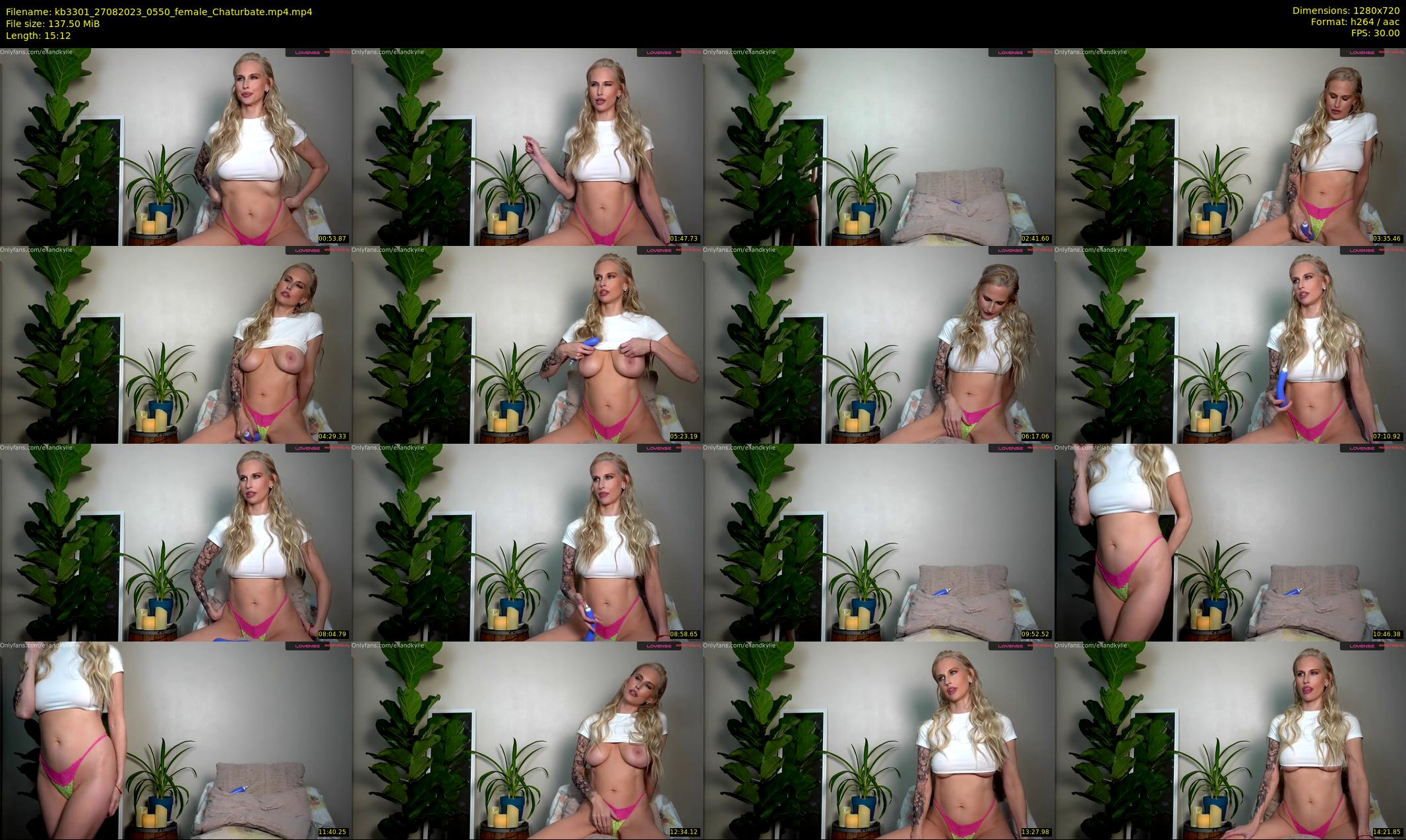 kb3301 — 16 minute Chaturbate couple cam show recording, 720p, Aug 27, 2023