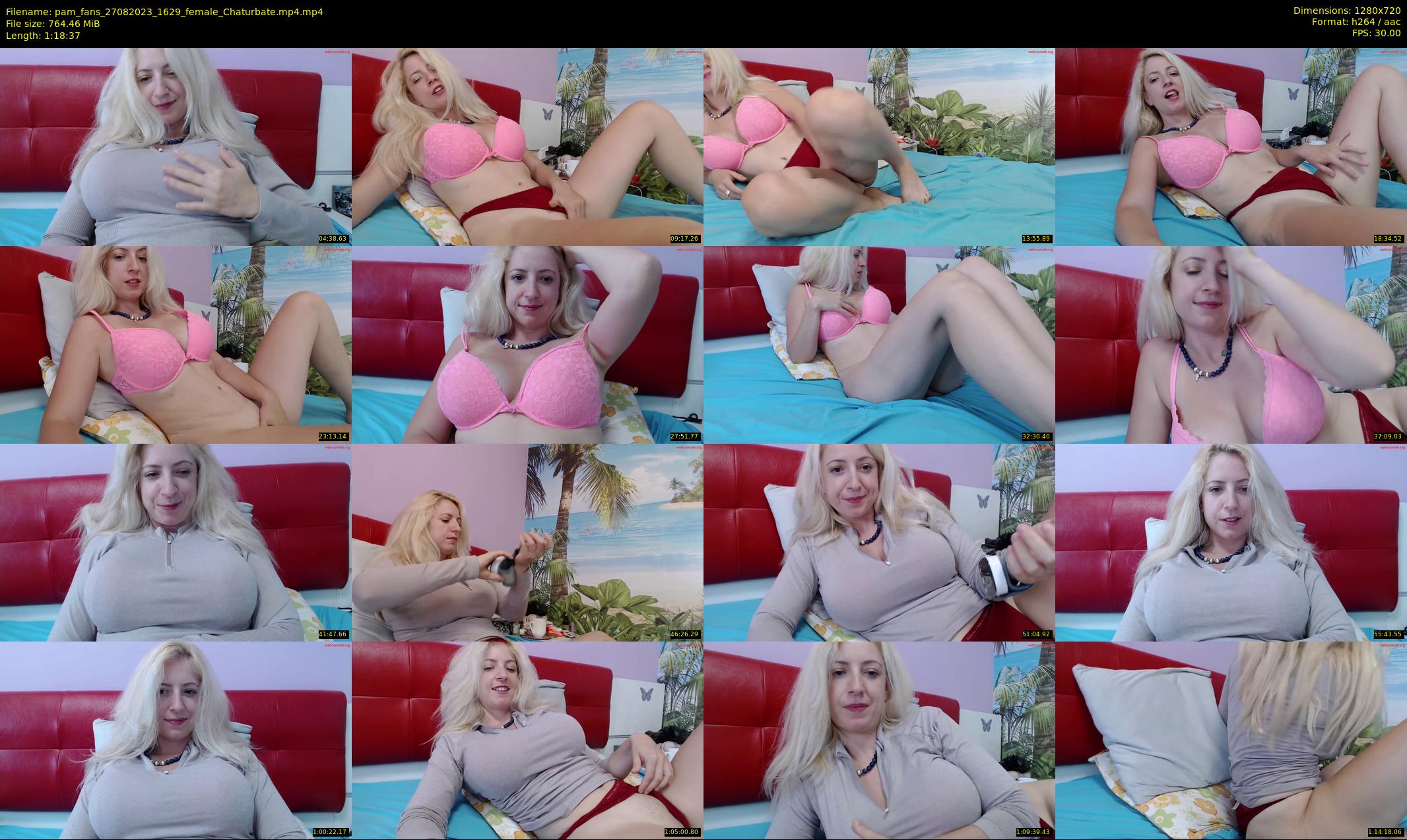 pam_fans — 79 minute Chaturbate female cam show recording, 720p, Aug 27, 2023