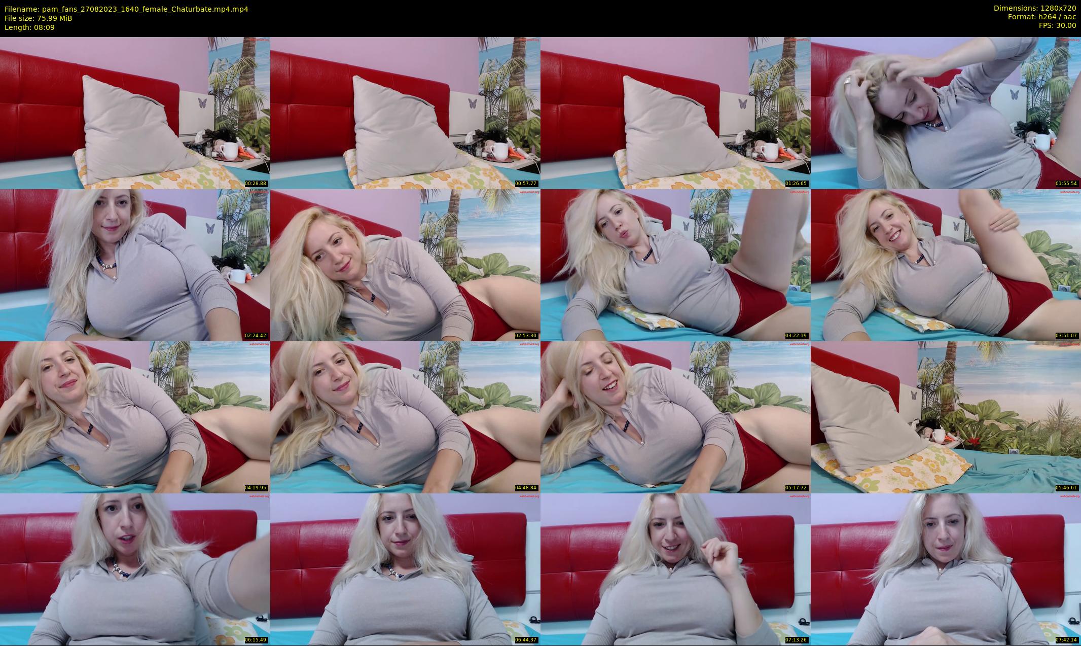 pam_fans — 9 minute Chaturbate female cam show recording, 720p, Aug 27, 2023