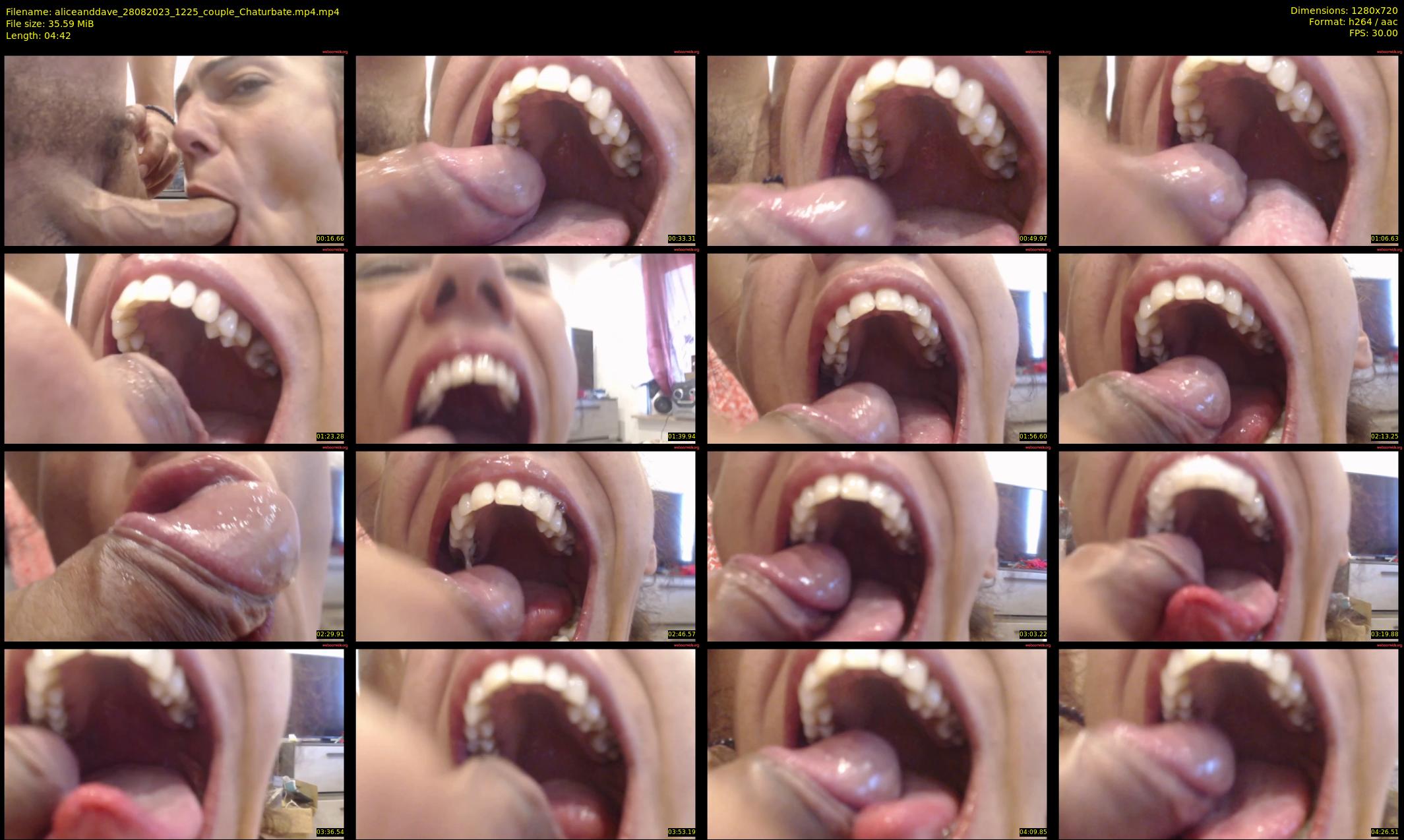aliceanddave — 5 minute Chaturbate couple cam show recording, 720p, Aug 28, 2023
