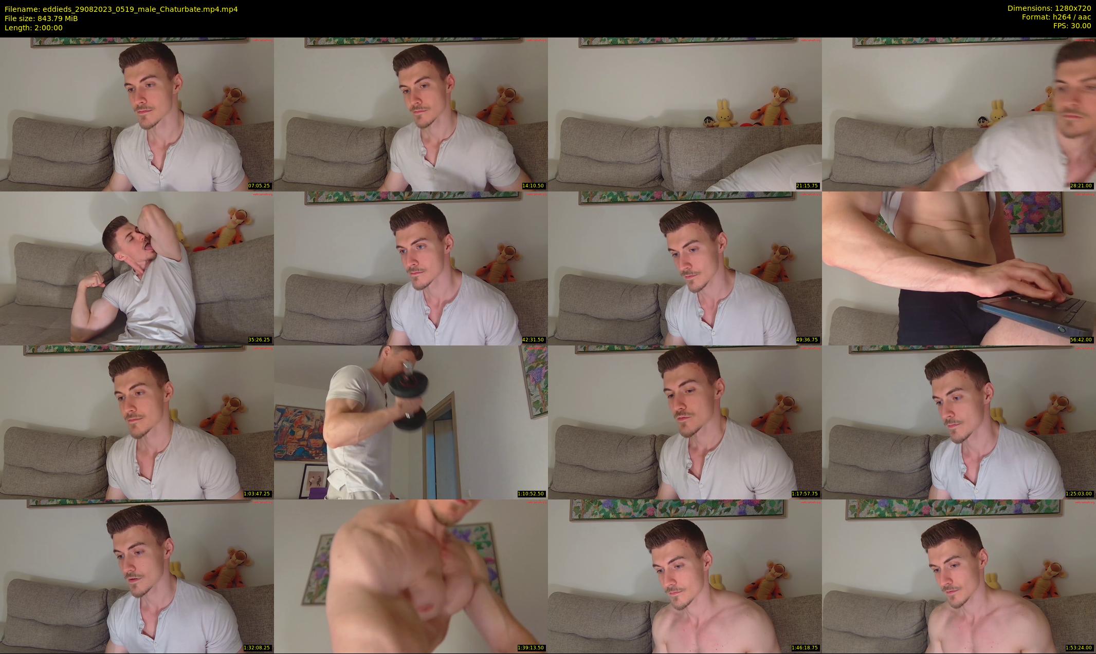 eddieds — 120 minute Chaturbate male cam show recording, 720p, Aug 29, 2023