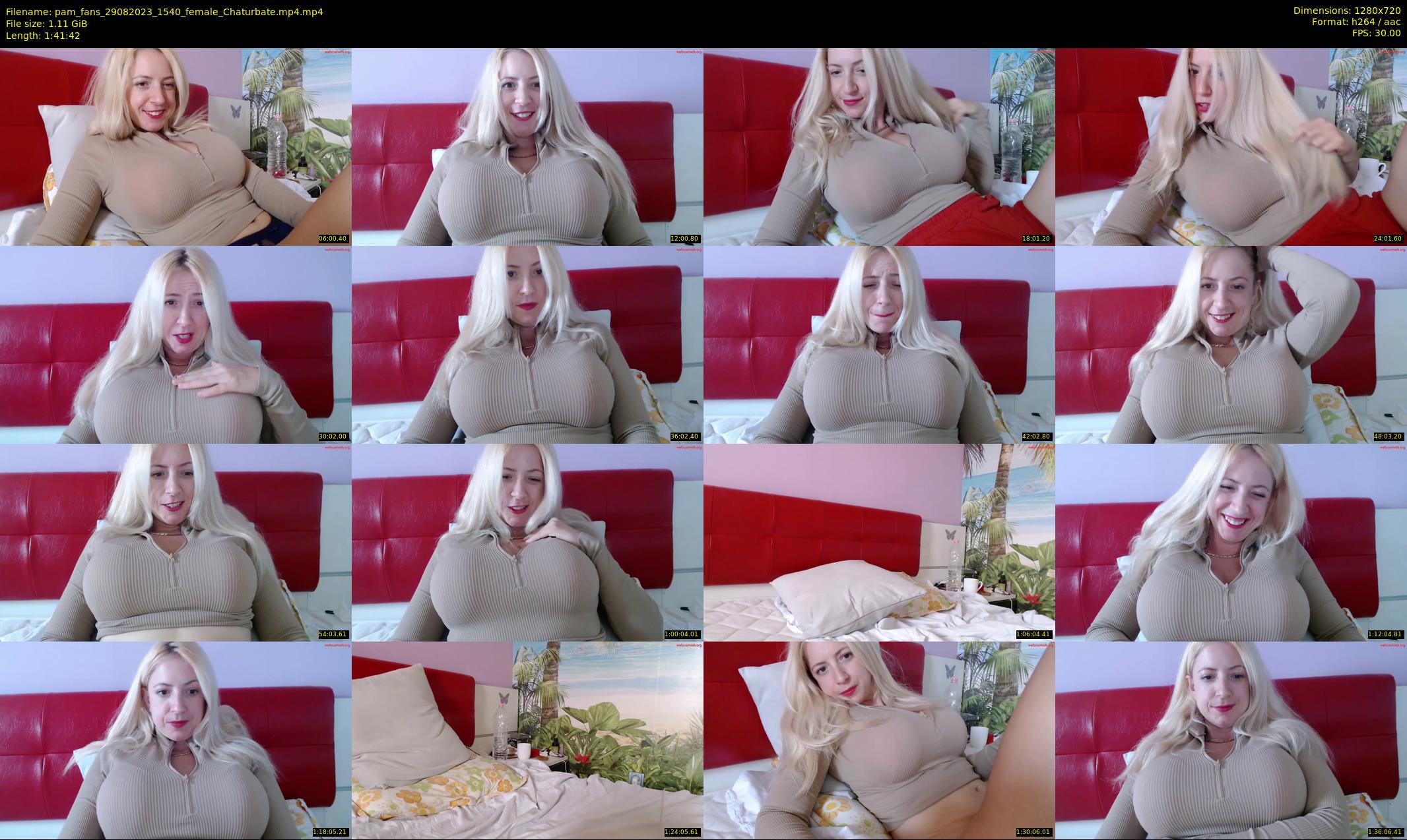 pam_fans — 102 minute Chaturbate female cam show recording, 720p, Aug 29, 2023