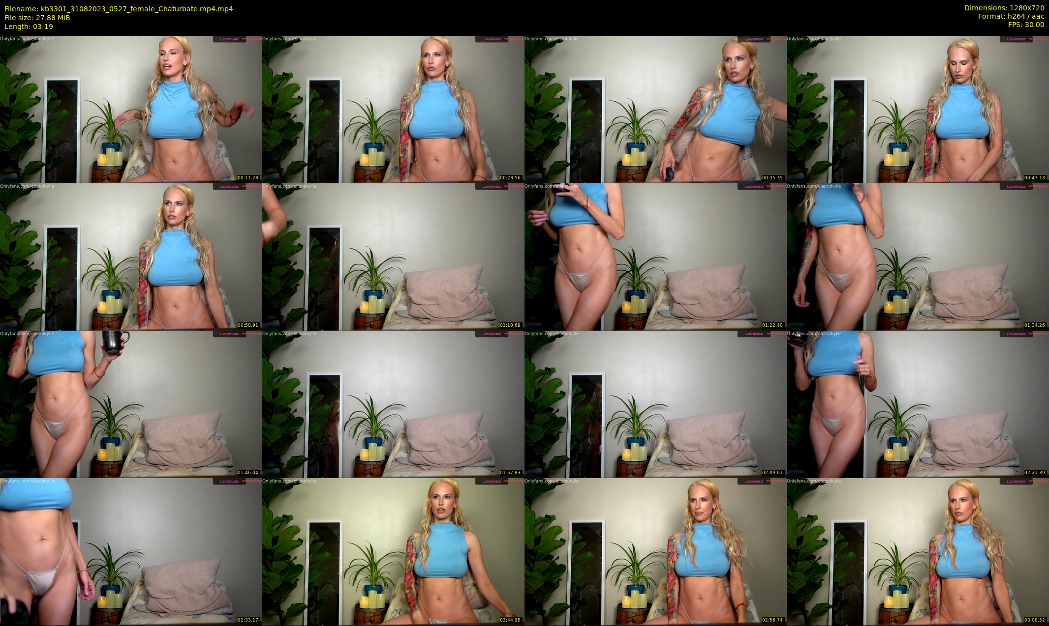kb3301 — 4 minute Chaturbate couple cam show recording, 720p, Aug 31, 2023