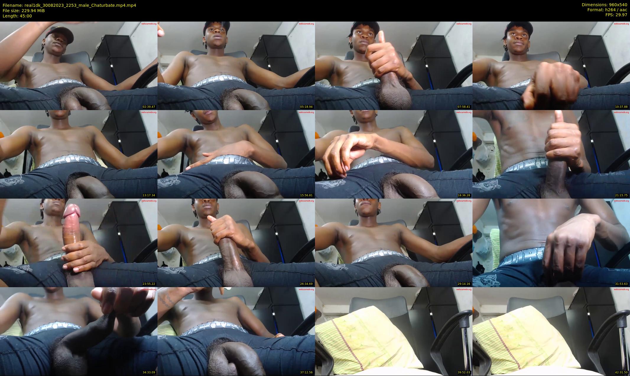 real1dk — 45 minute Chaturbate male cam show recording, 480p, Aug 30, 2023