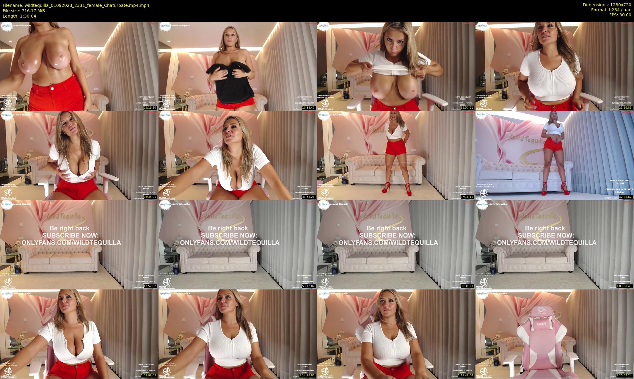 wildtequilla — 91 minute Chaturbate couple cam show recording, 720p, Sep 1, 2023