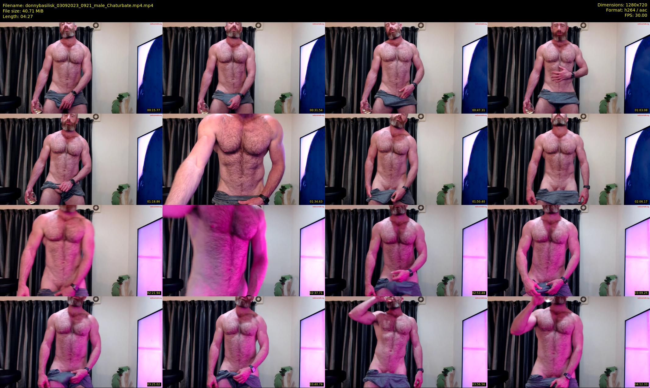 donnybasilisk — 5 minute Chaturbate male cam show recording, 720p, Sep 3, 2023