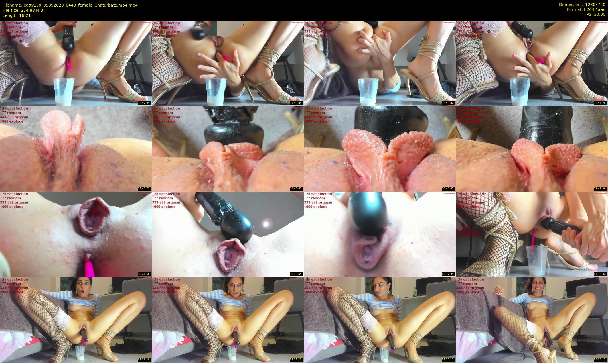 catty190 — 17 minute Chaturbate female cam show recording, 720p, Sep 5, 2023