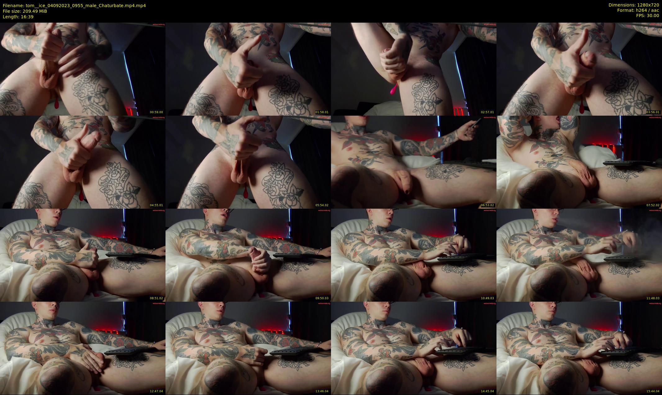 tom__ice — 17 minute Chaturbate male cam show recording, 720p, Sep 4, 2023