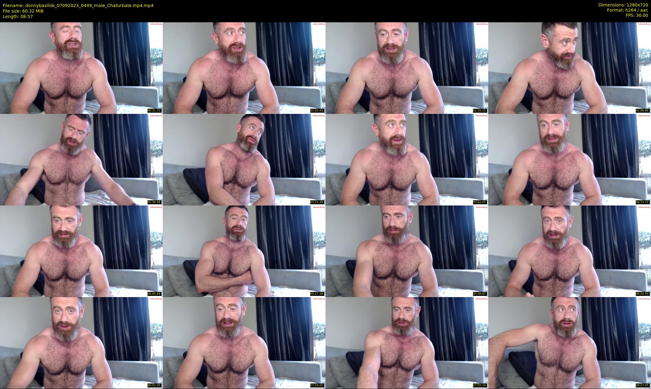 donnybasilisk — 9 minute Chaturbate male cam show recording, 720p, Sep 7, 2023