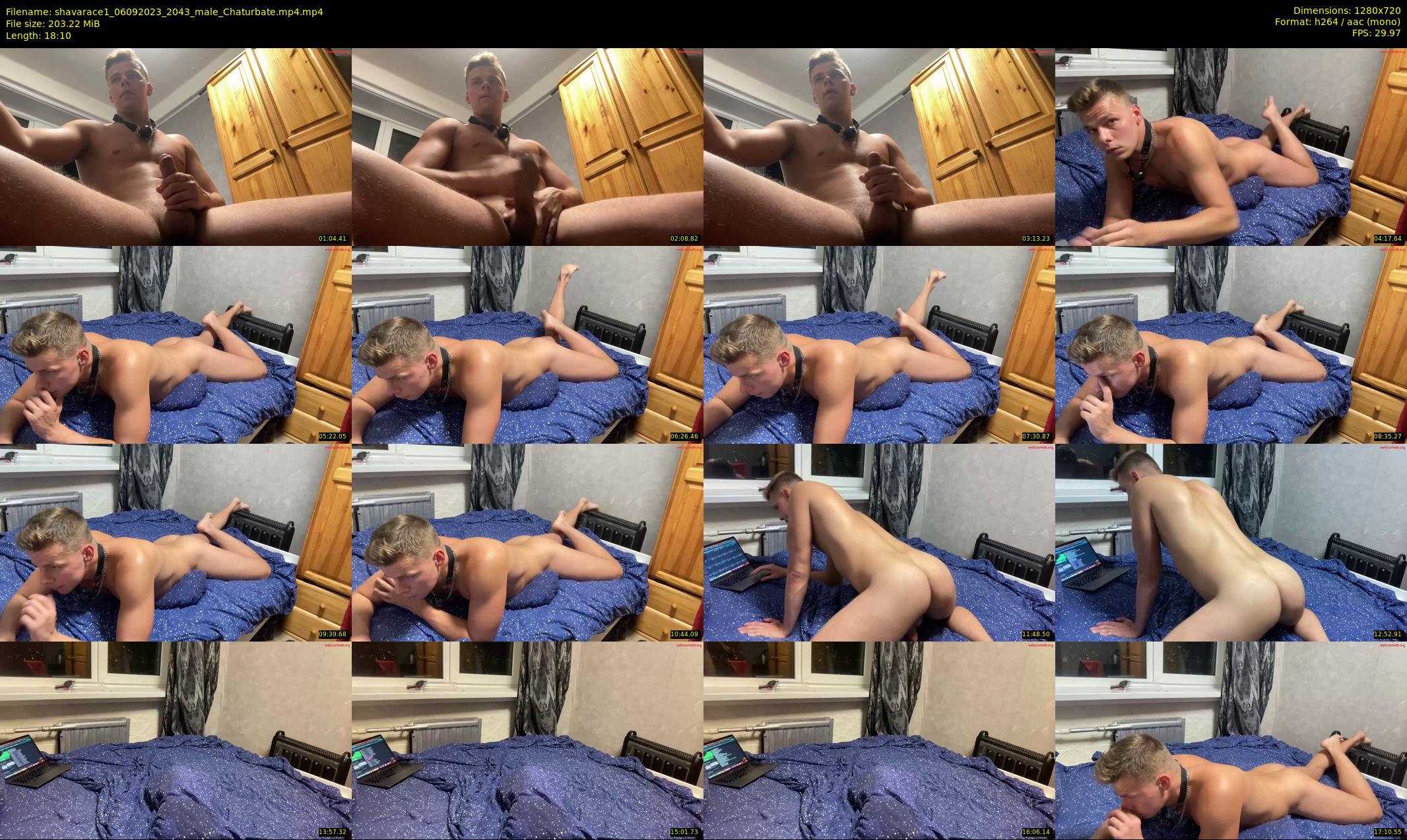 shavarace1 — 19 minute Chaturbate male cam show recording, 720p, Sep 6, 2023