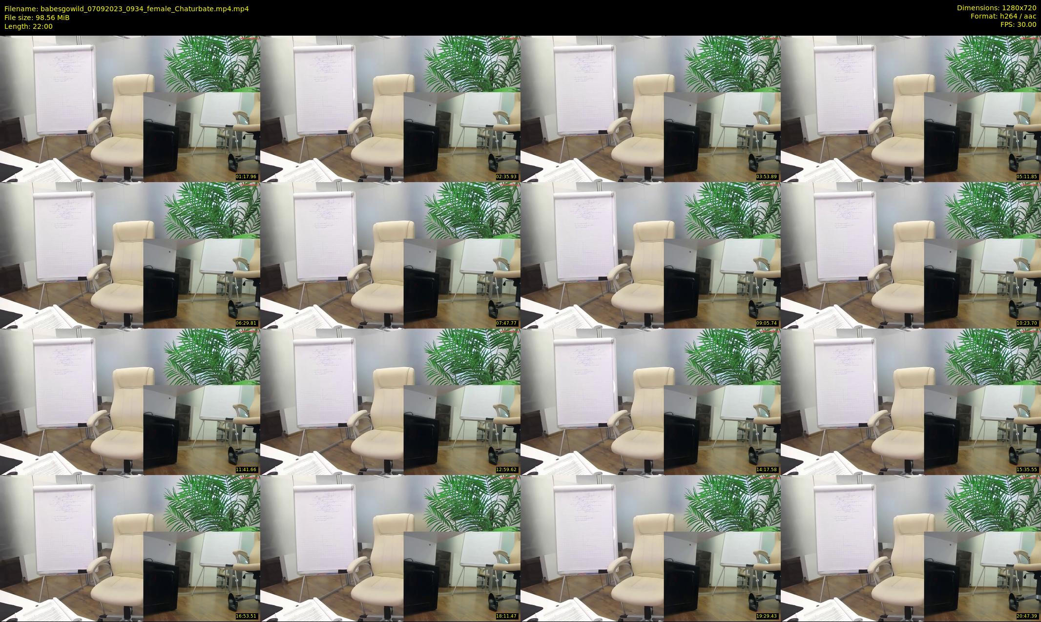 babesgowild — 22 minute Chaturbate couple cam show recording, 720p, Sep 7, 2023