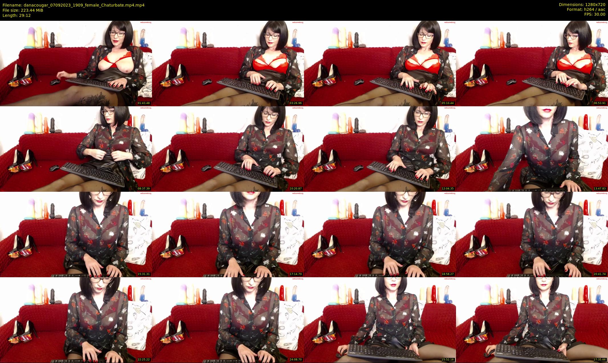 danacougar — 30 minute Chaturbate female cam show recording, 720p, Sep 7, 2023