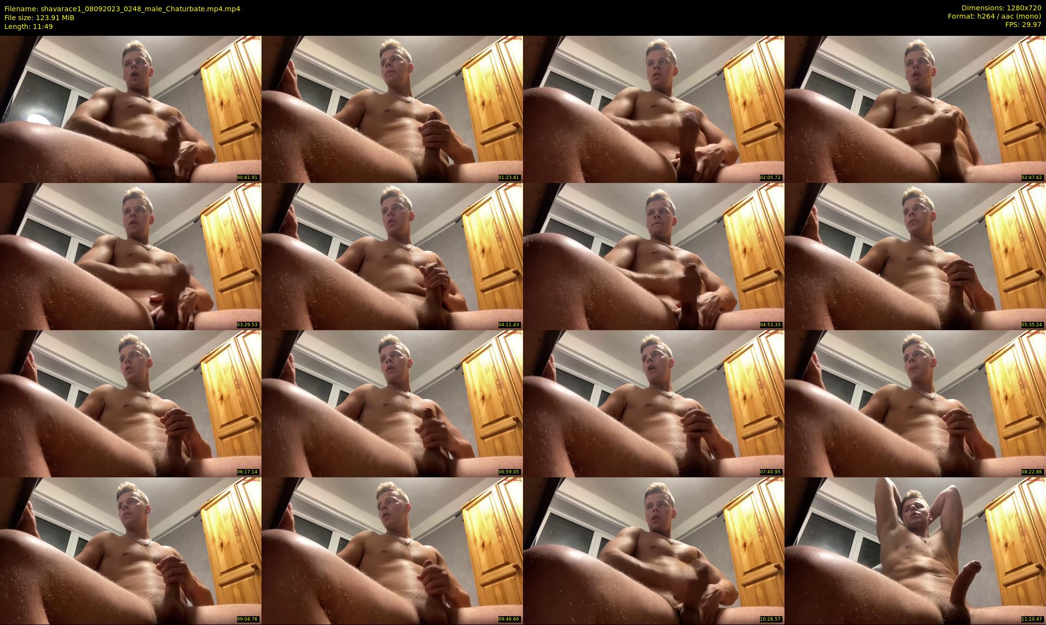 shavarace1 — 12 minute Chaturbate male cam show recording, 720p, Sep 8, 2023